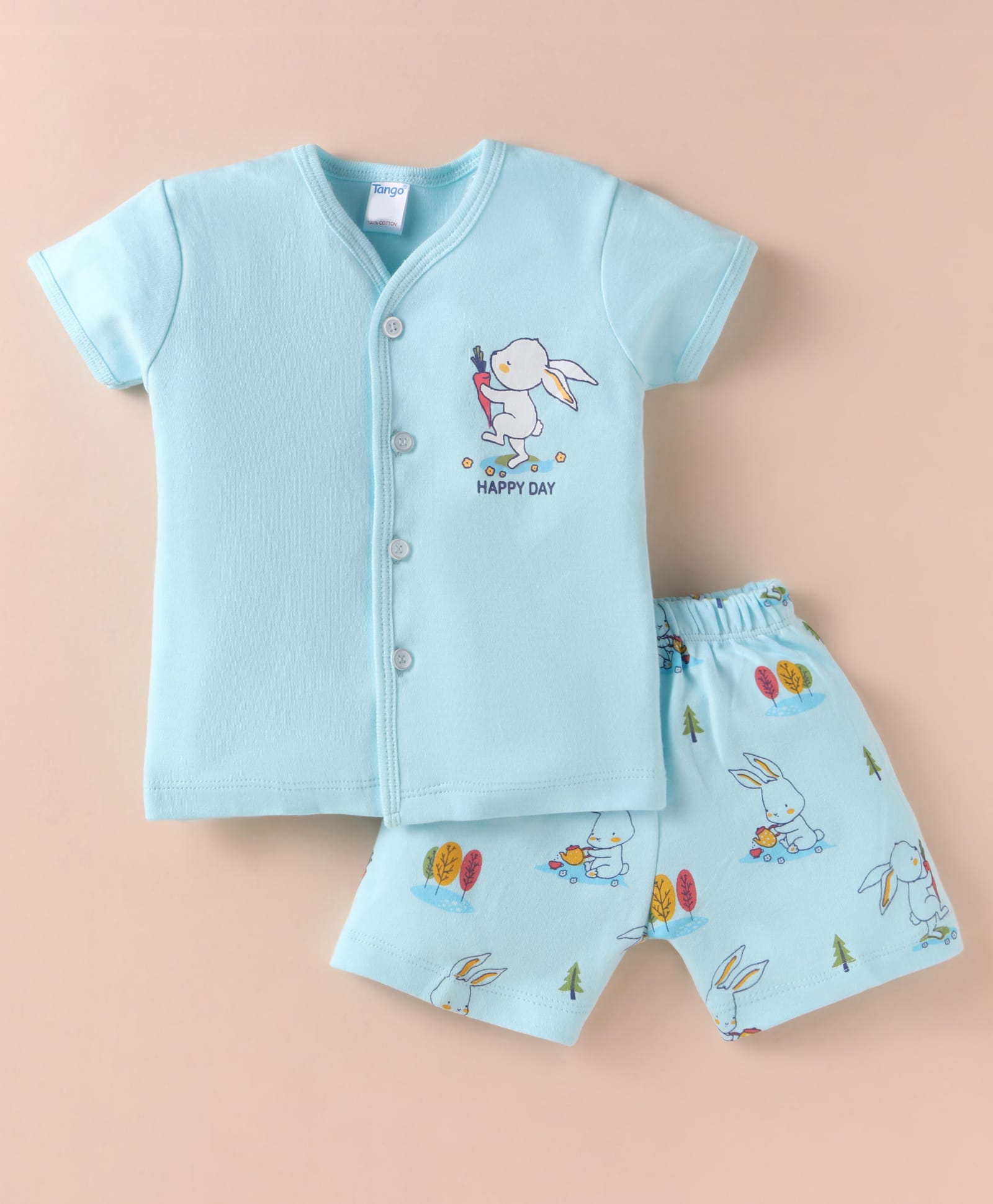 Tango Interlock Knit Half Sleeves Shorts Night Suit with Bunny Print - Aqua Blue-image-46