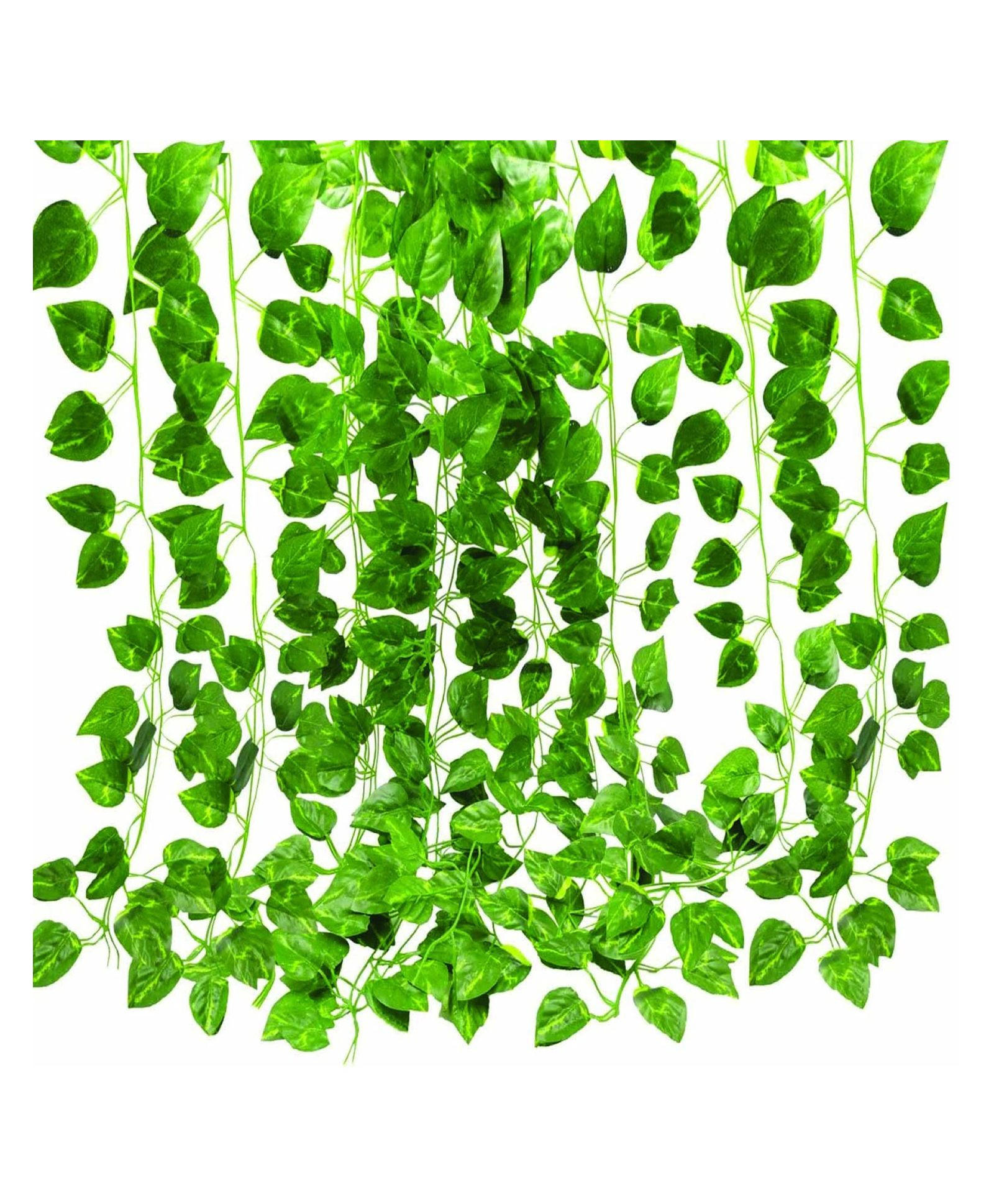 Bubble Trouble Wall Hanging Artificial Creeper Money Plant Strings Set of 6 Green Color for Interior Decoration Art Craft USLSTN1-image-40