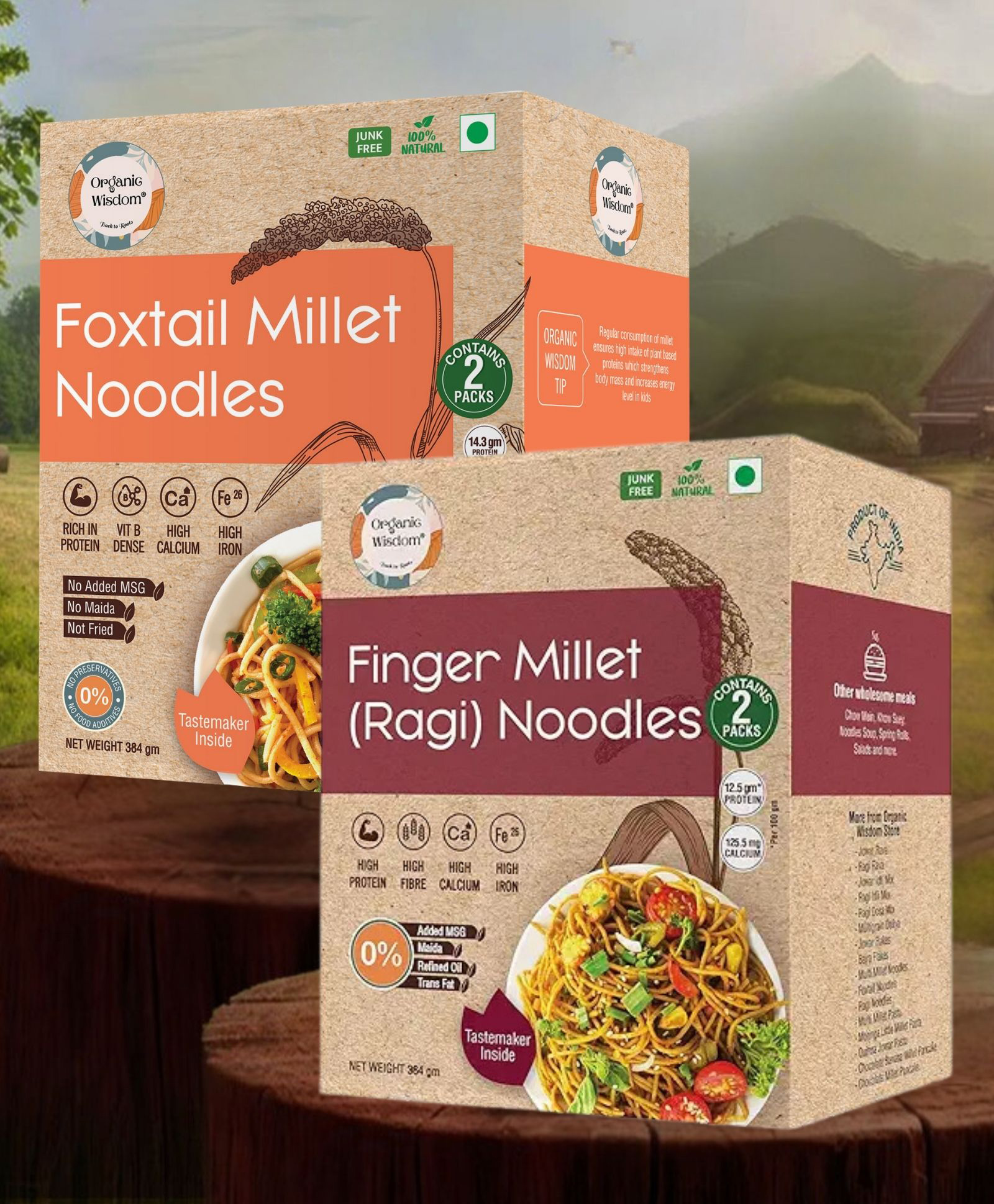 Organic Wisdom-Back to Roots Multi-millet Penne Pasta | Junk Free,No Maida & MSG-image-48