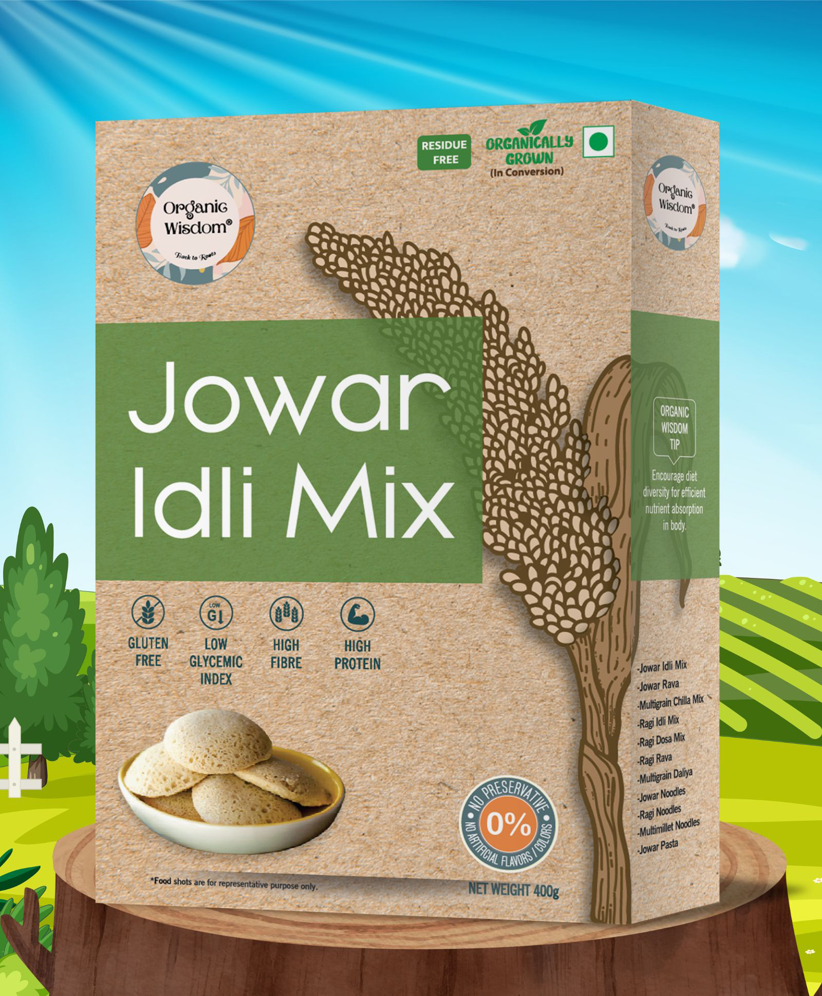 ORGANIC WISDOM-Back to Roots Jowar Idli Mix | Healthy Breakfast | Gluten Free | Rich in Protein & Dietary Fibre | Easy to make & Tasty | 400g-image-21