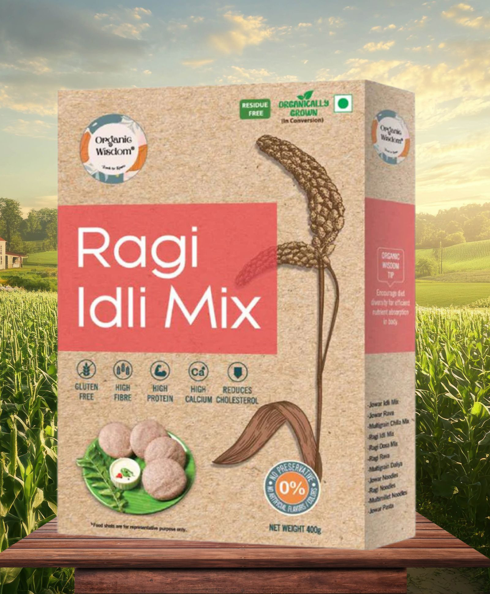 ORGANIC WISDOM-Back to Roots Instant Ragi/Nachni Idli Mix (Millet Idli)| 100% natural & Gluten Free| Super Food for Kids | Rich in Calcium & Fibre | Easy to Make | 400 g-image-46