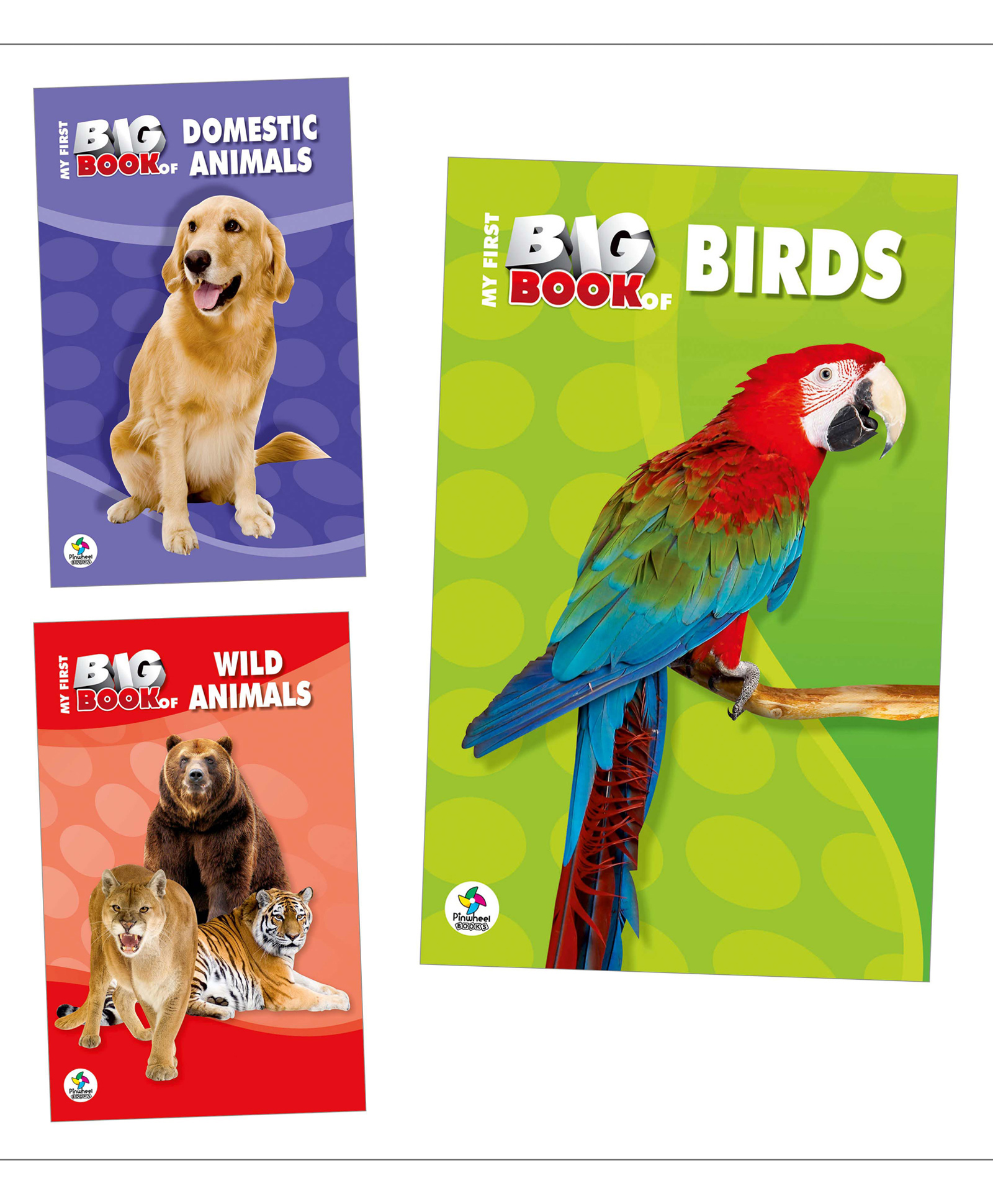 My First Big Books, Birds, Domestic Animals, Wild Animals, Set of 3 Books - English-image-24