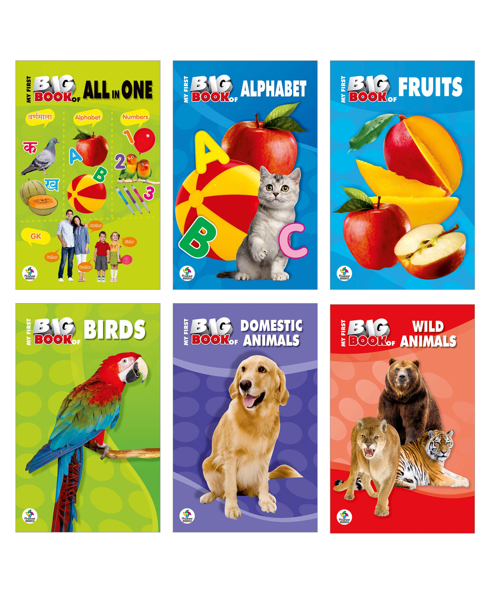 My First Big Books, All in One, Alphabet, Fruits, Birds, Domestic Animals, Wild Animals, Set of 6 Books - English-image-23