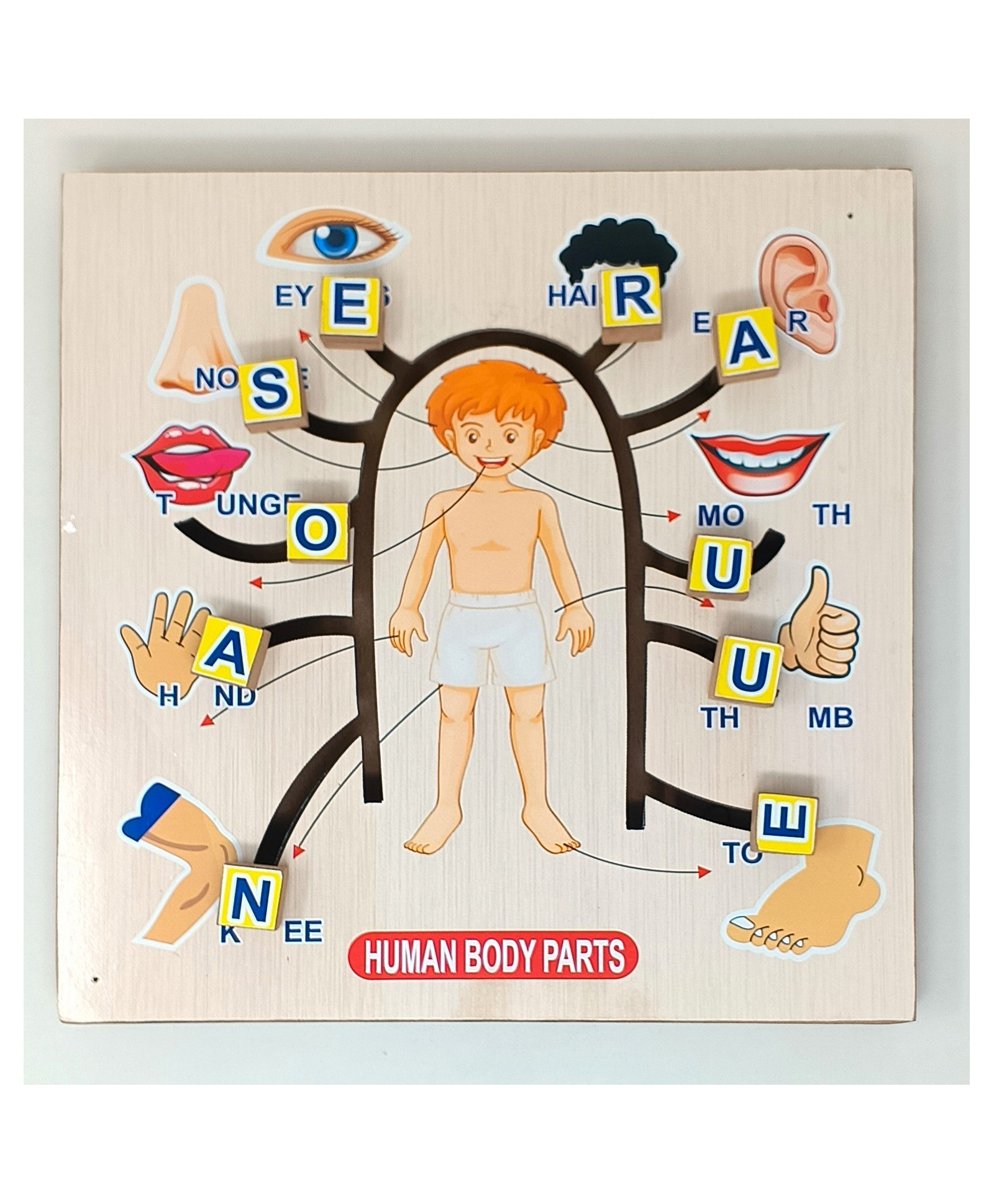 A&A Kreative Box 3D Maze Puzzle Mind Game (Wooden) - Human Body Parts 1Pc-image-36