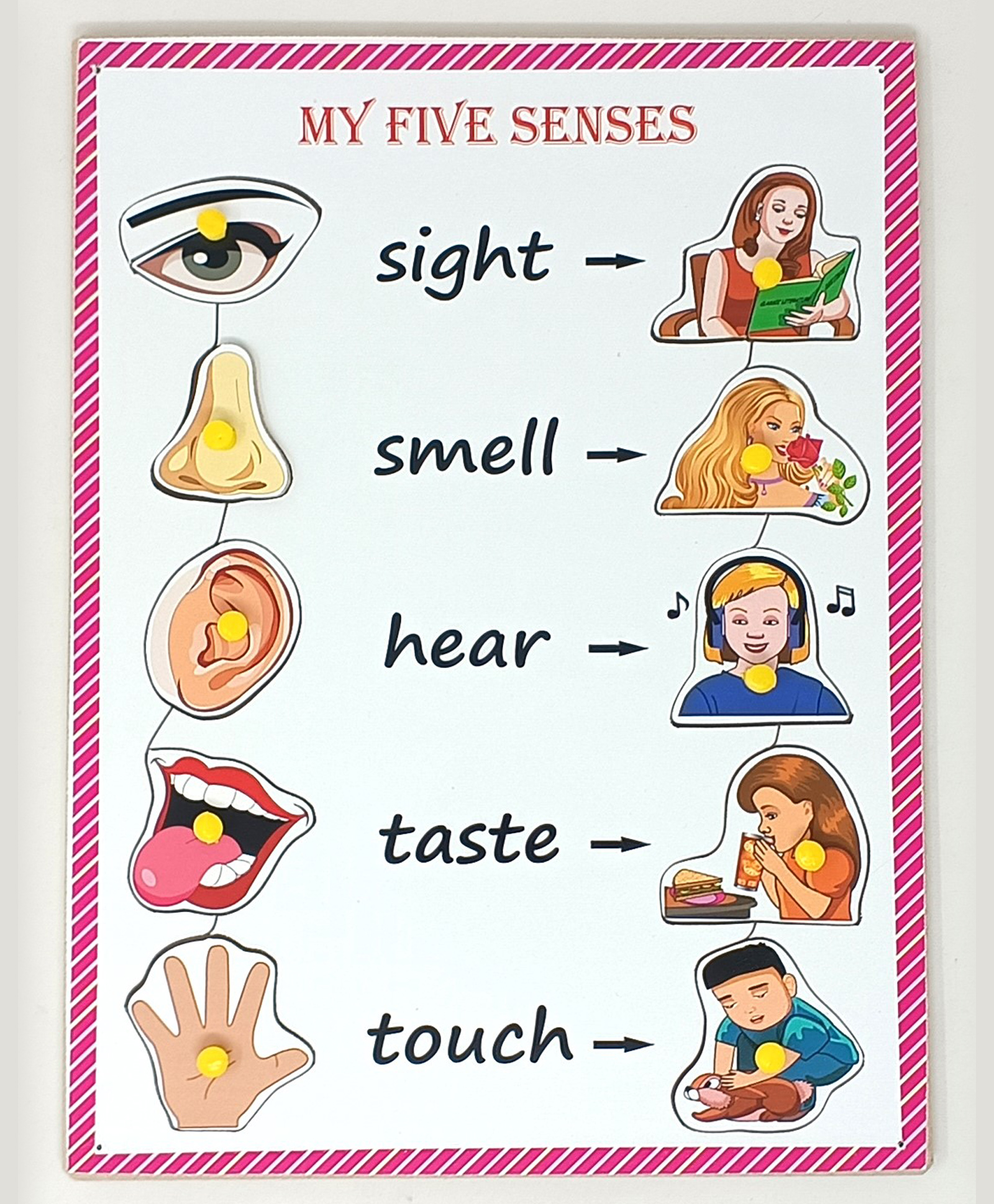 A&A Kreative Box Five Senses Wooden Puzzle-10 Pc-picture-25