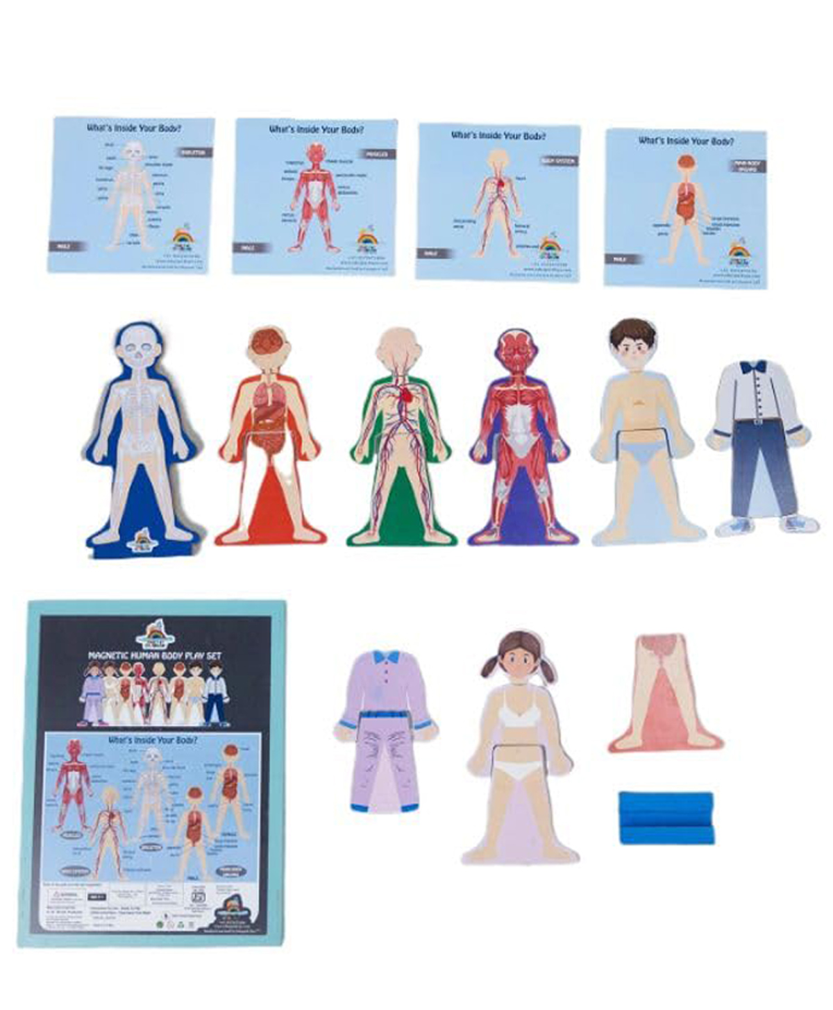 Eduspark Human Body Magnet Set Wooden Kids Pretend Play Set - Multicolor-image-10