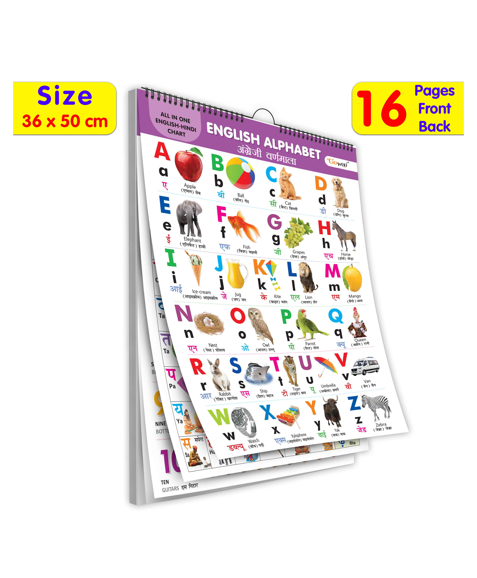 gowoo Spiral Wall Picture Chart With 16 Topics - English & Hindi-picture-16