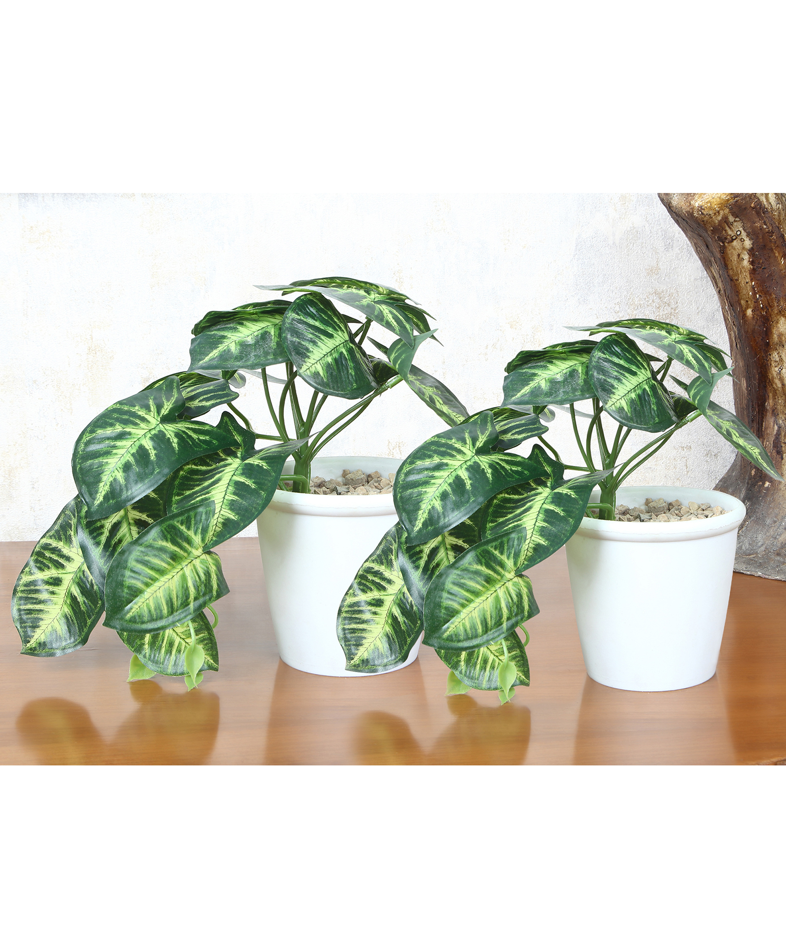 Foliyaj Set Of 2 Artificial Arrowhead Plants In White Pots Embedded With Brown Stones (Set Of 2)-image-47