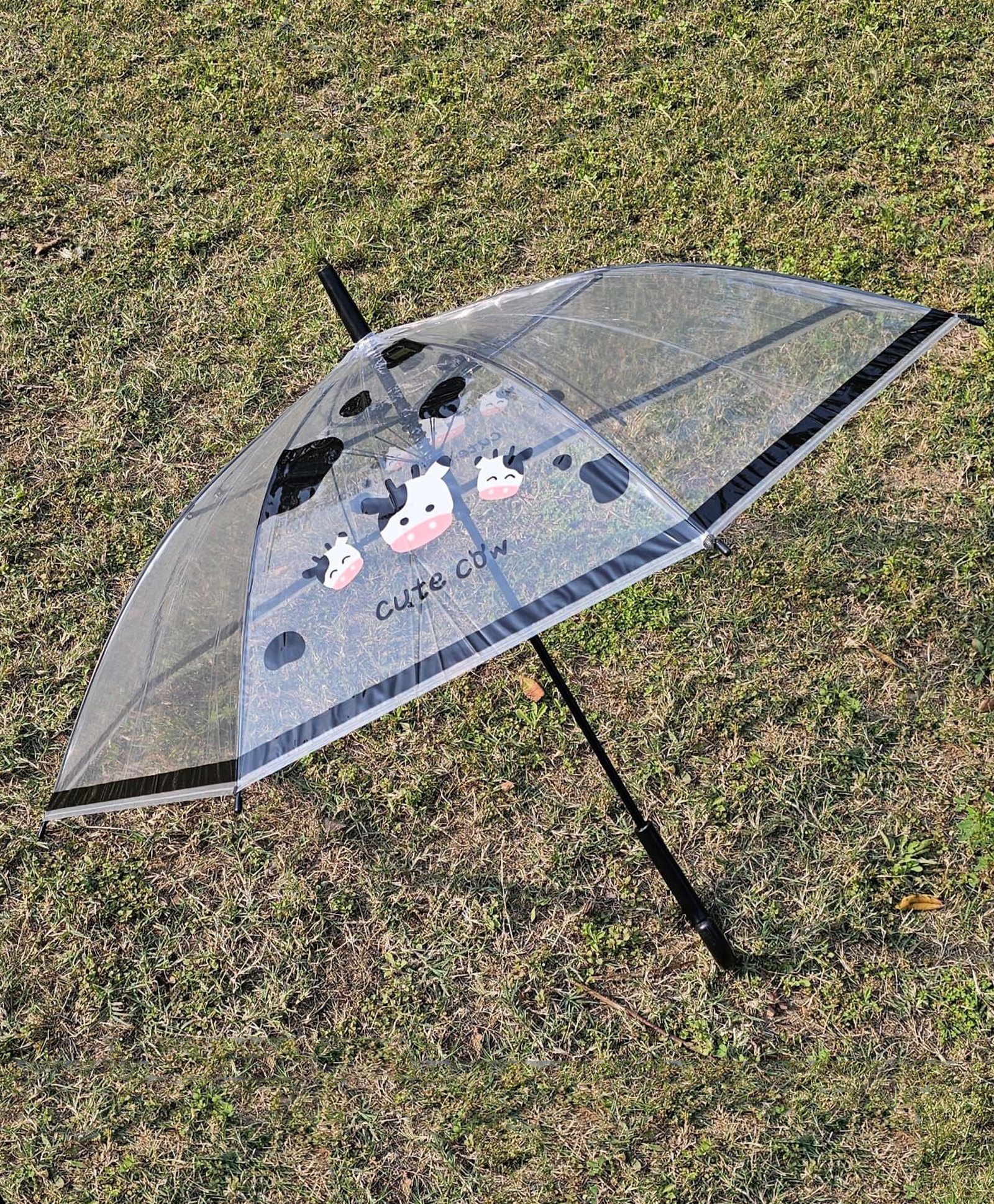CHAATEWALA Cow Designed Transparent Umbrella - Multi Colour