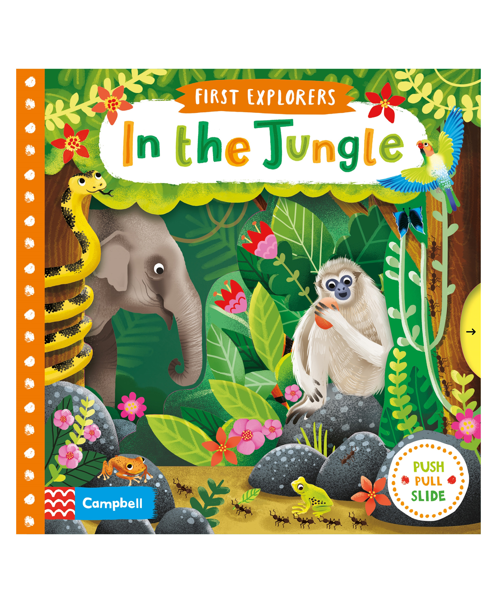 In the Jungle Board Book By Jenny Wren - English-image-10