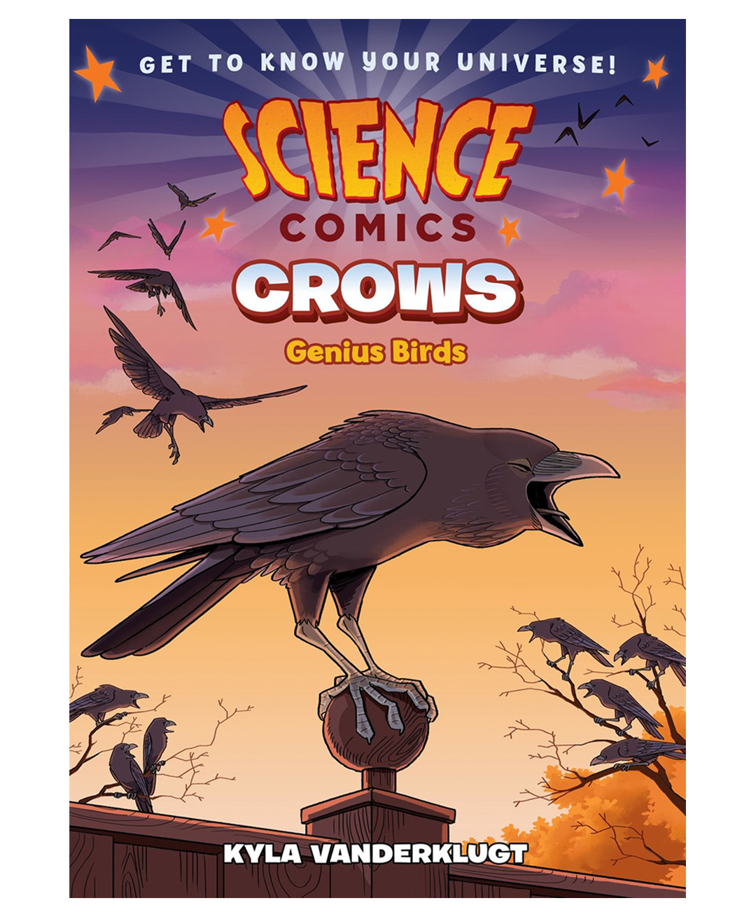 Science Comics: Crows By Kyla Vanderklugt - English-image-38