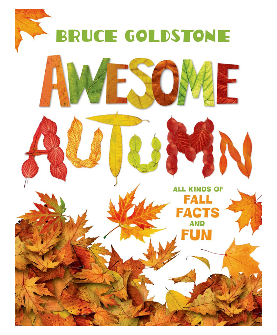 pan macmillan india Awesome Autumn Activity Book By Bruce Goldstone - English-picture-18