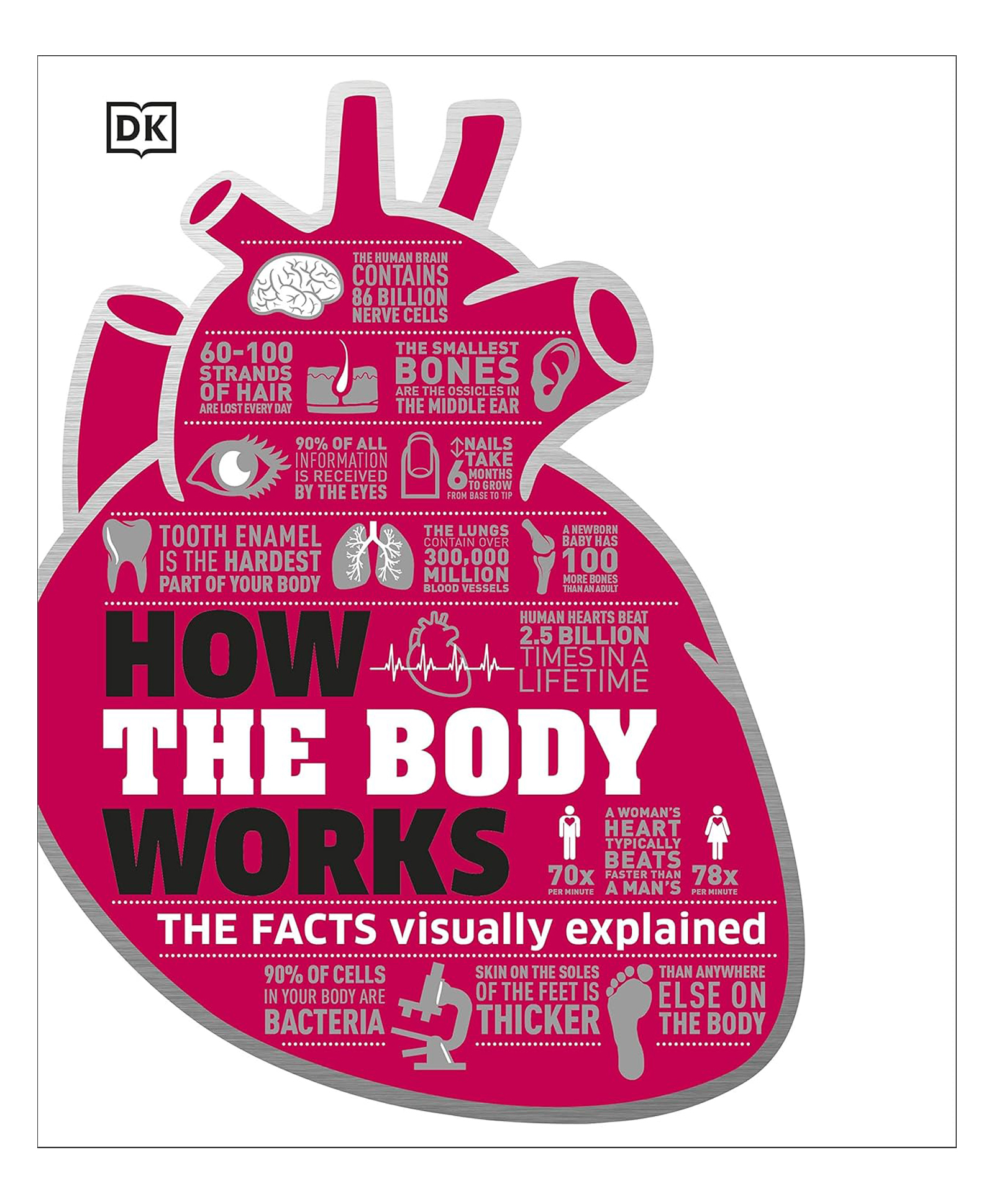 penguin random house How the Body Works Science Book - English-picture-22