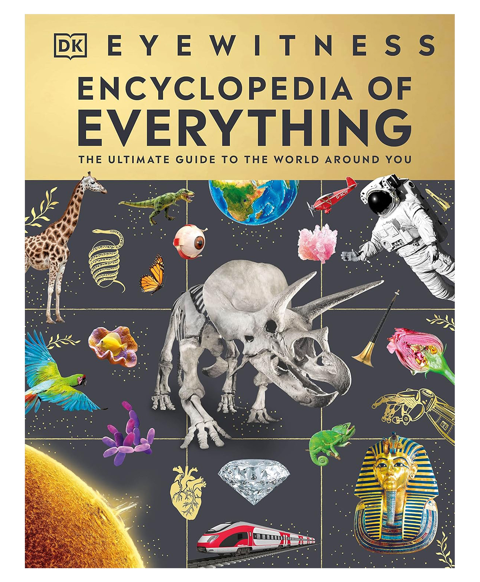 Eyewitness Encyclopedia Book of Everything - English-image-21