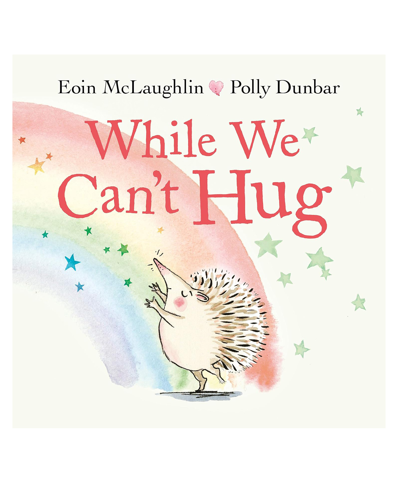 While We Can't Hug Picture Book by Eoin Mclaughlin - English