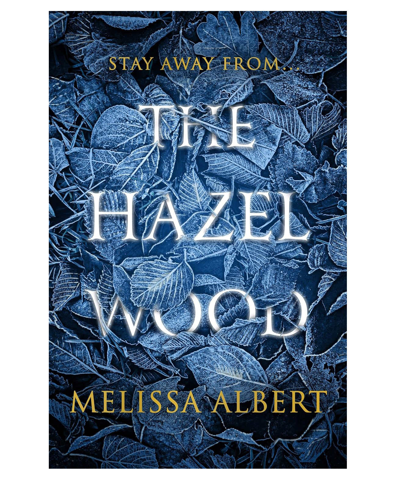 The Hazel Wood Story Book By Melissa Albert - English-image-5