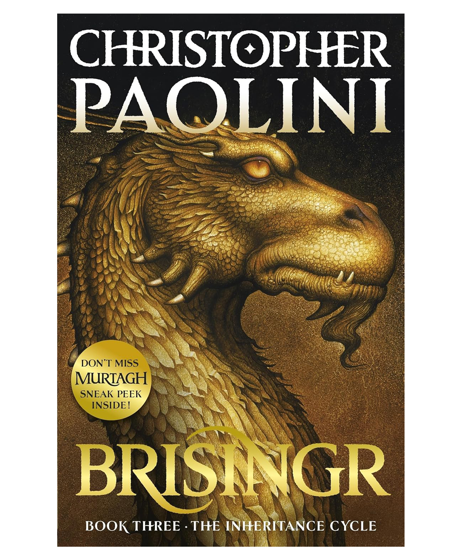 penguin random house Brisingr Story Book By Christopher Paolini - English-picture-21