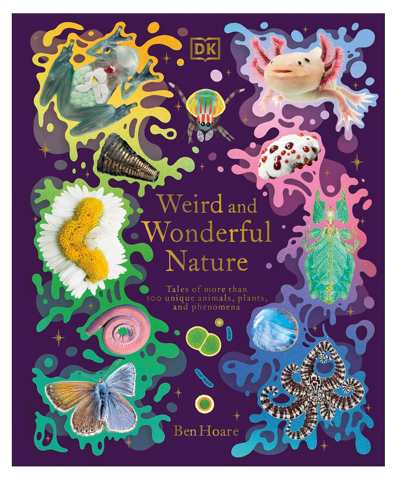 Weird and Wonderful Nature Story Book - English-image-13