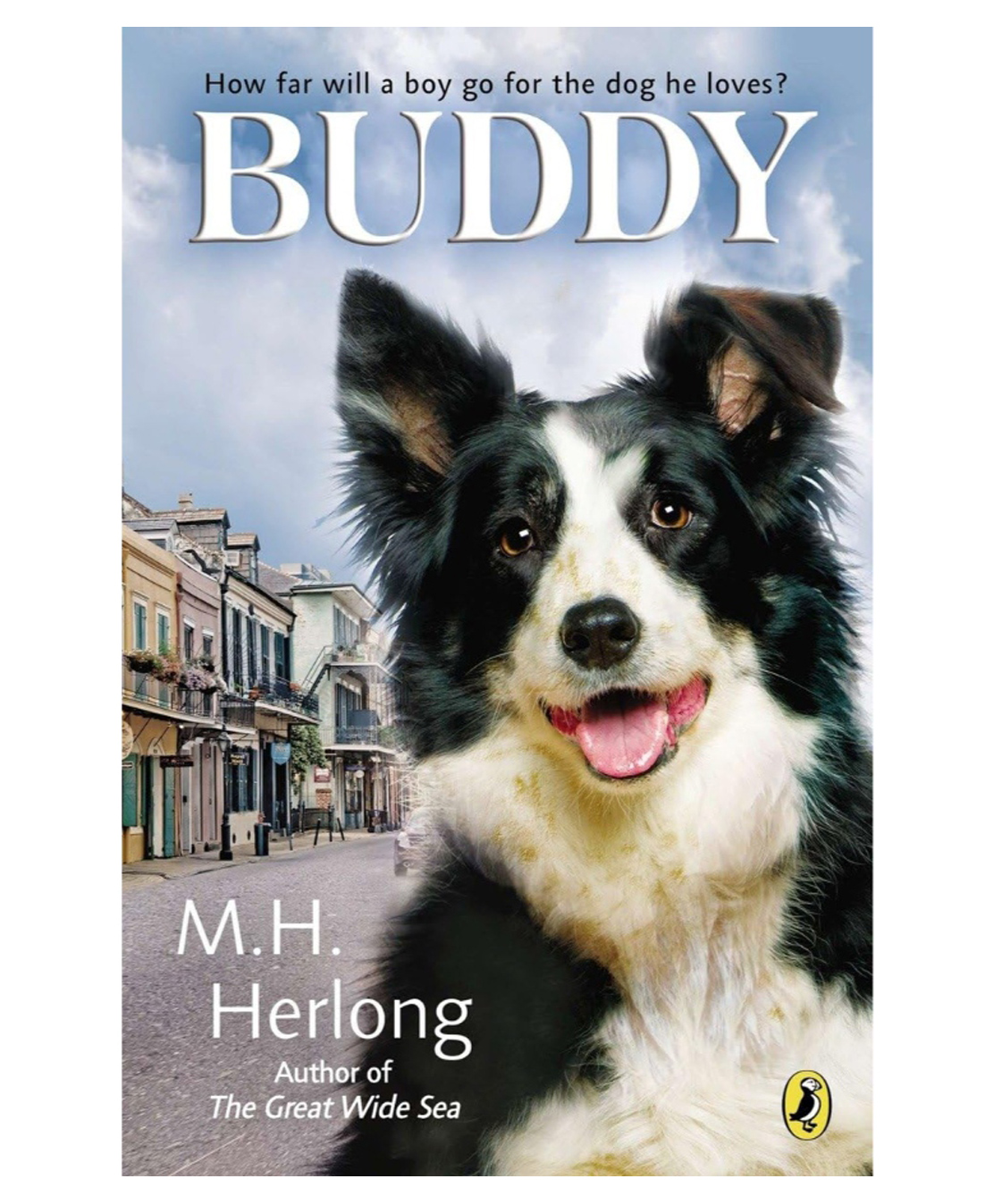 penguin random house Buddy Story Book By M.H.Herlong - English-picture-21