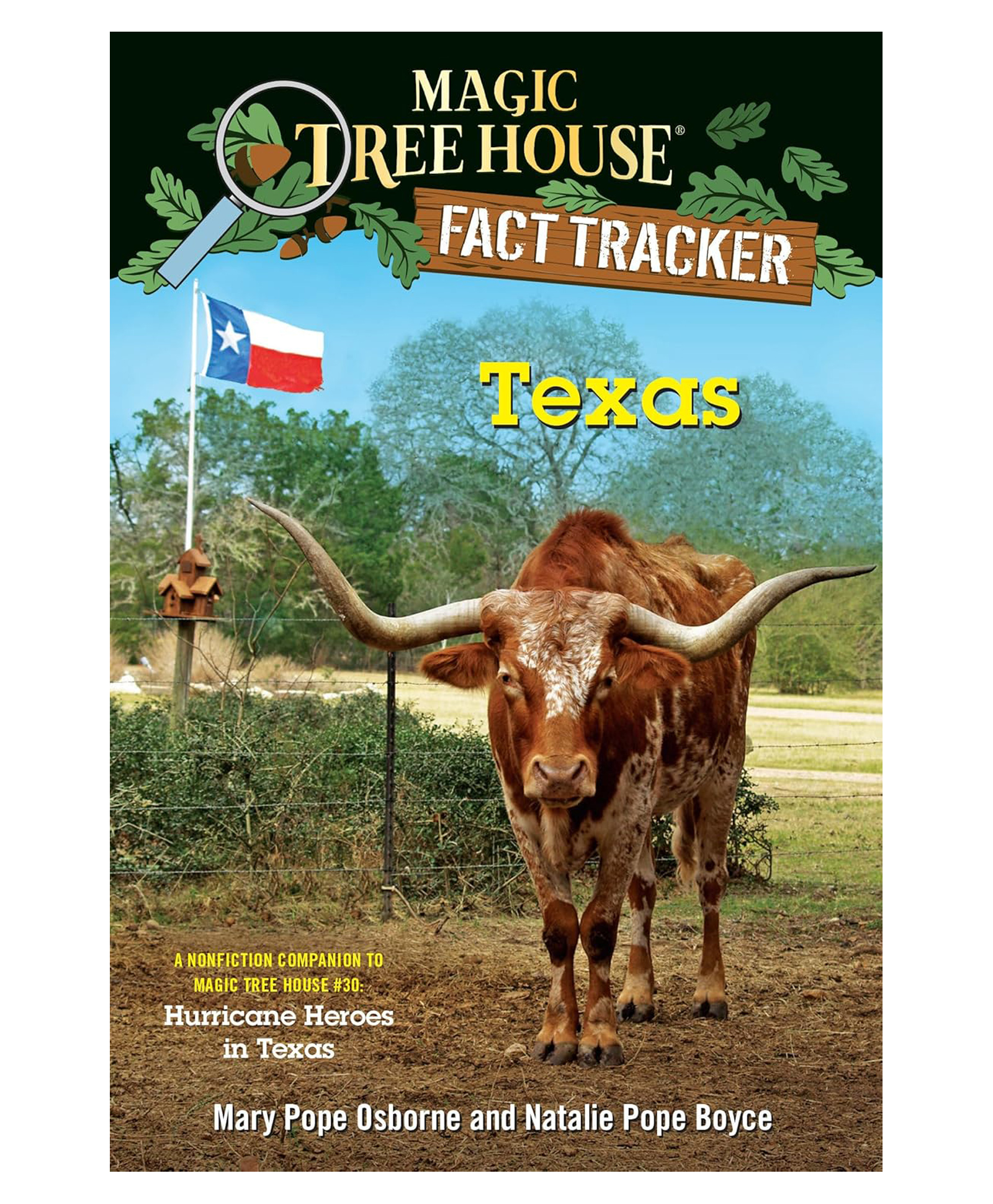 MTH Fact Tracker: Texas Story Book By Mary Pope Osborne - English-image-21