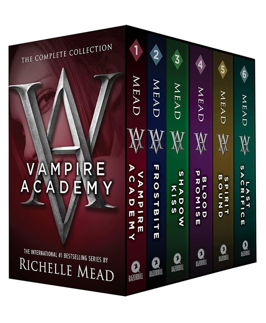 Vampire Academy Box Set 1-6 Story Book by Richelle Mead - English-image-25