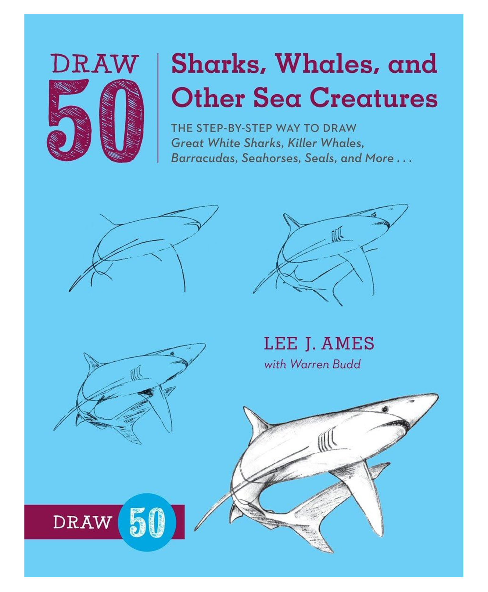 Draw 50 Sharks, Whales, and Other Sea Creatures Art Book by Lee J Ames - English-image-19