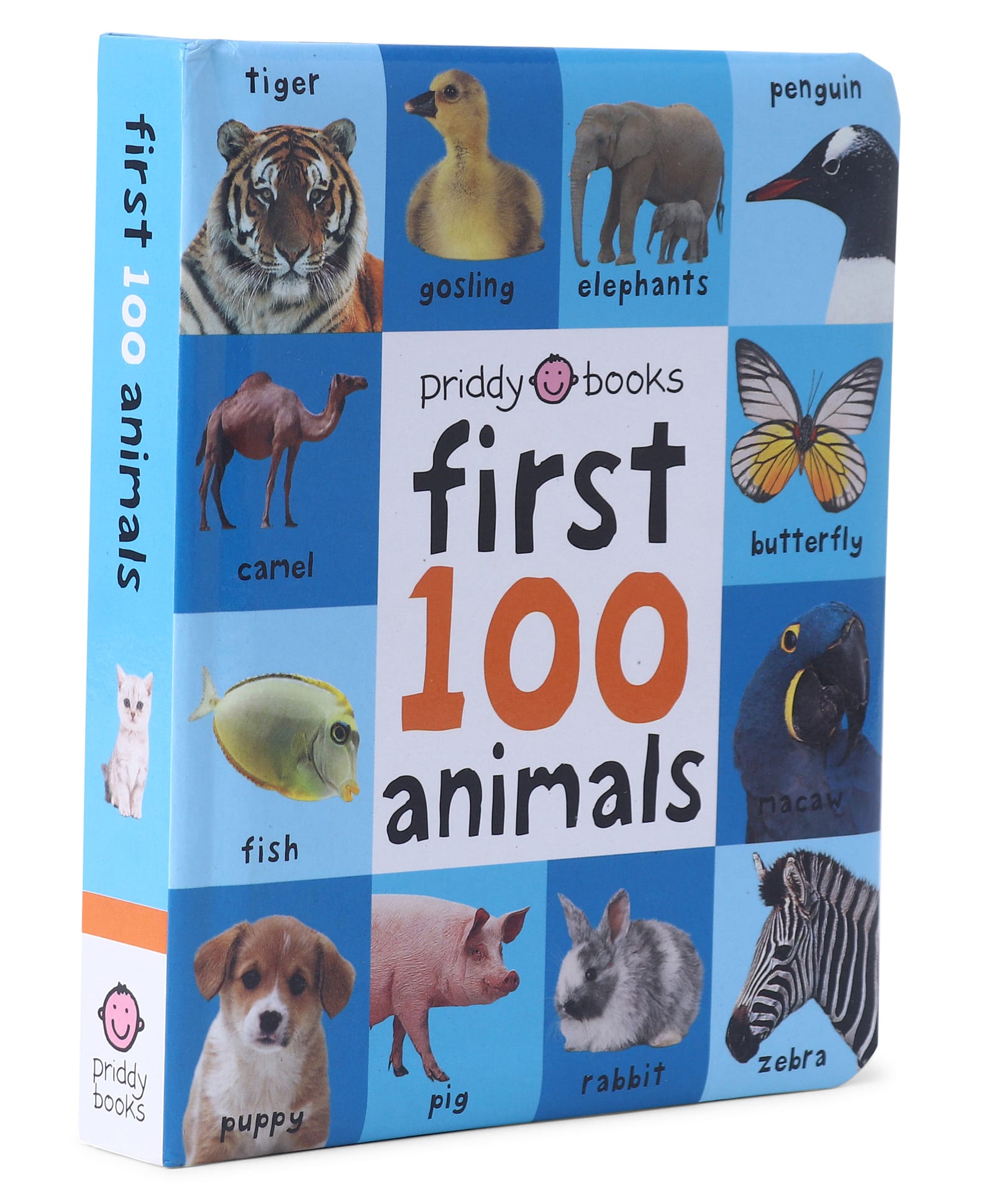 pan macmillan india First 100 Animals Board Book by Roger Priddy - English-picture-13