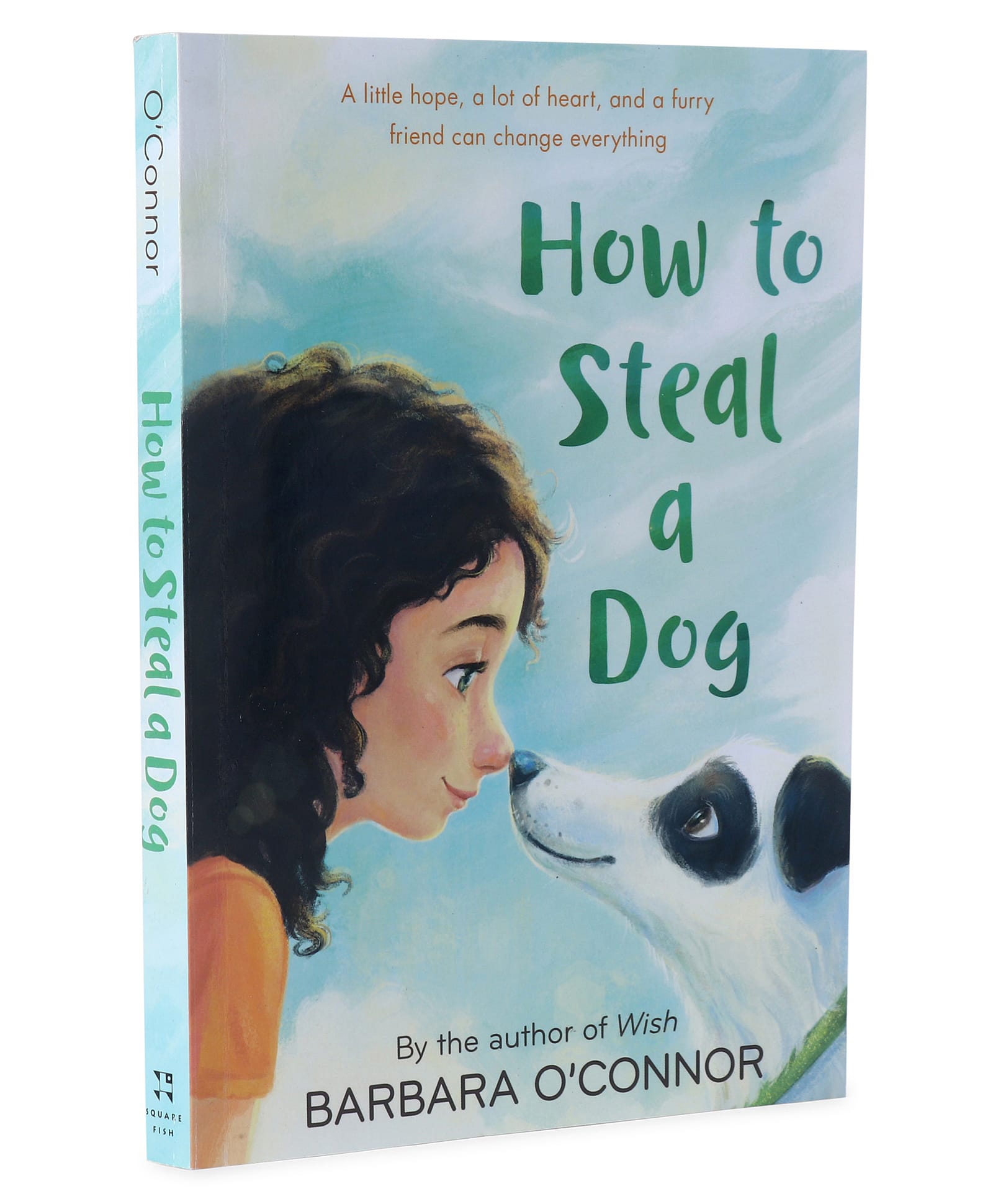 How to Steal a Dog Story Book By Barbara O'Connor - English-image-32