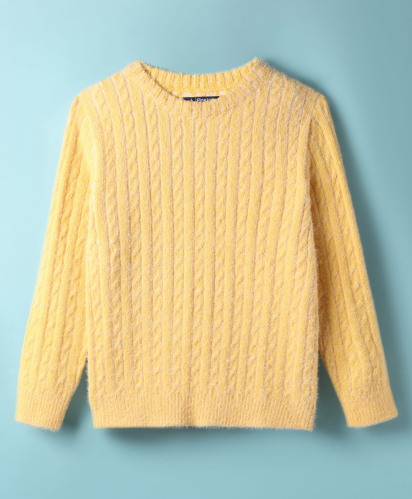 Pine Kids Knit Full Sleeves Pullover Sweater with Cable Knit Design - Yellow-picture-15