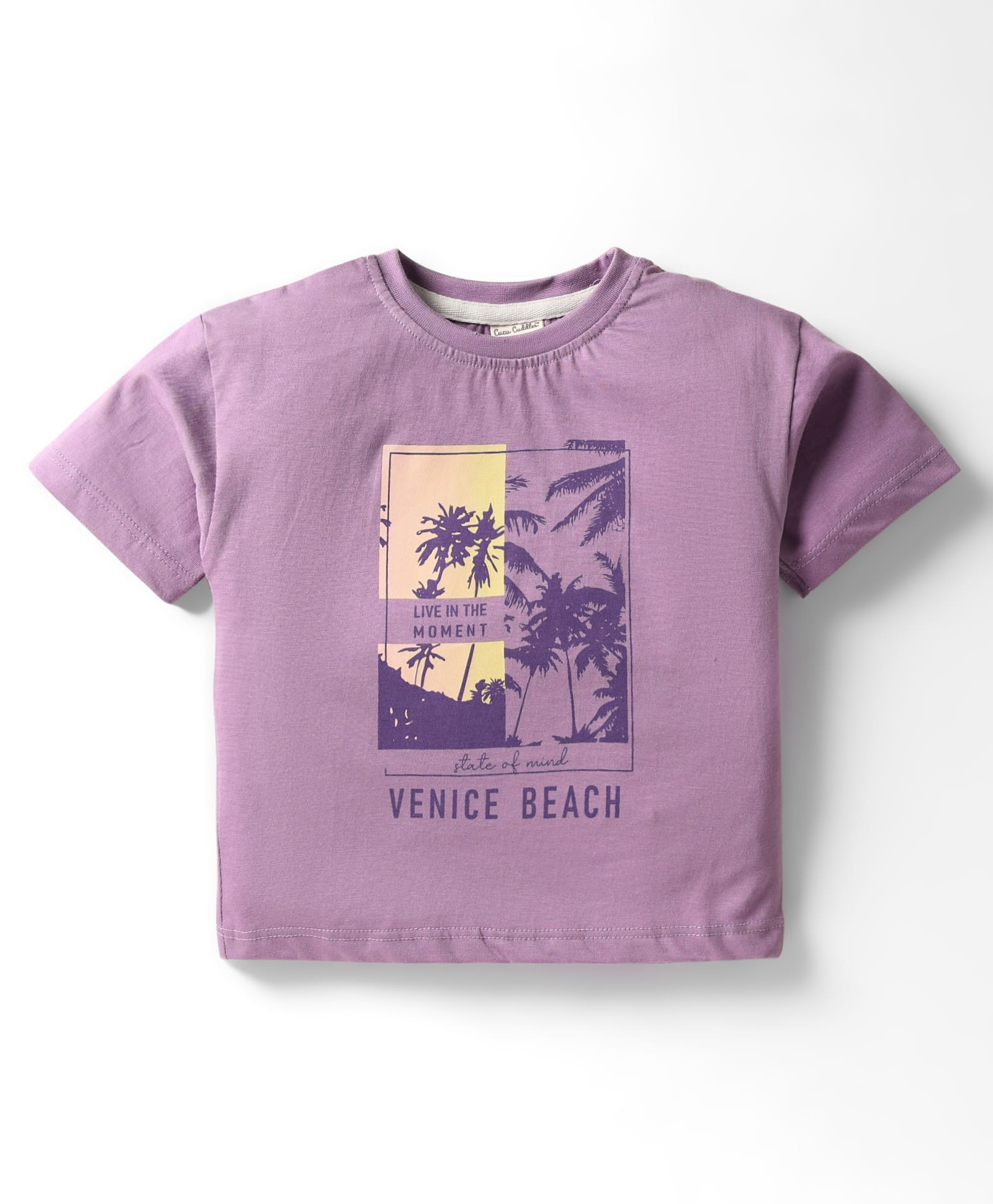 CUCUMBER Sinker Knit Half Sleeves T-Shirt With Beach Print - Violet-picture-17
