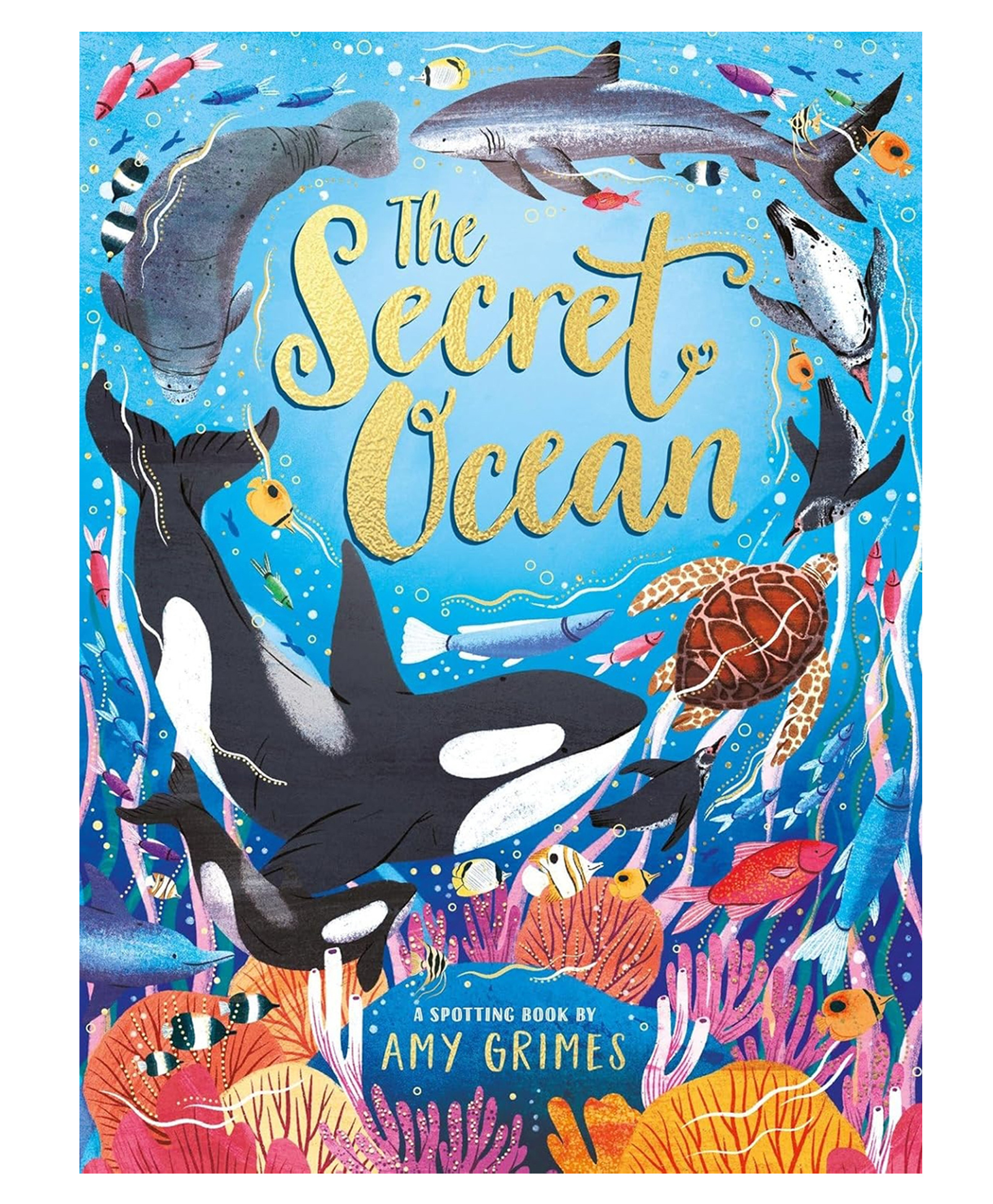 The Secret Ocean By Amy Grimes Picture Books Amy Grimes - English-image-48