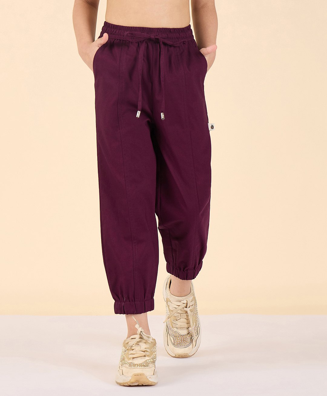 StyloBug Cotton Woven Solid Pant - Maroon-picture-22