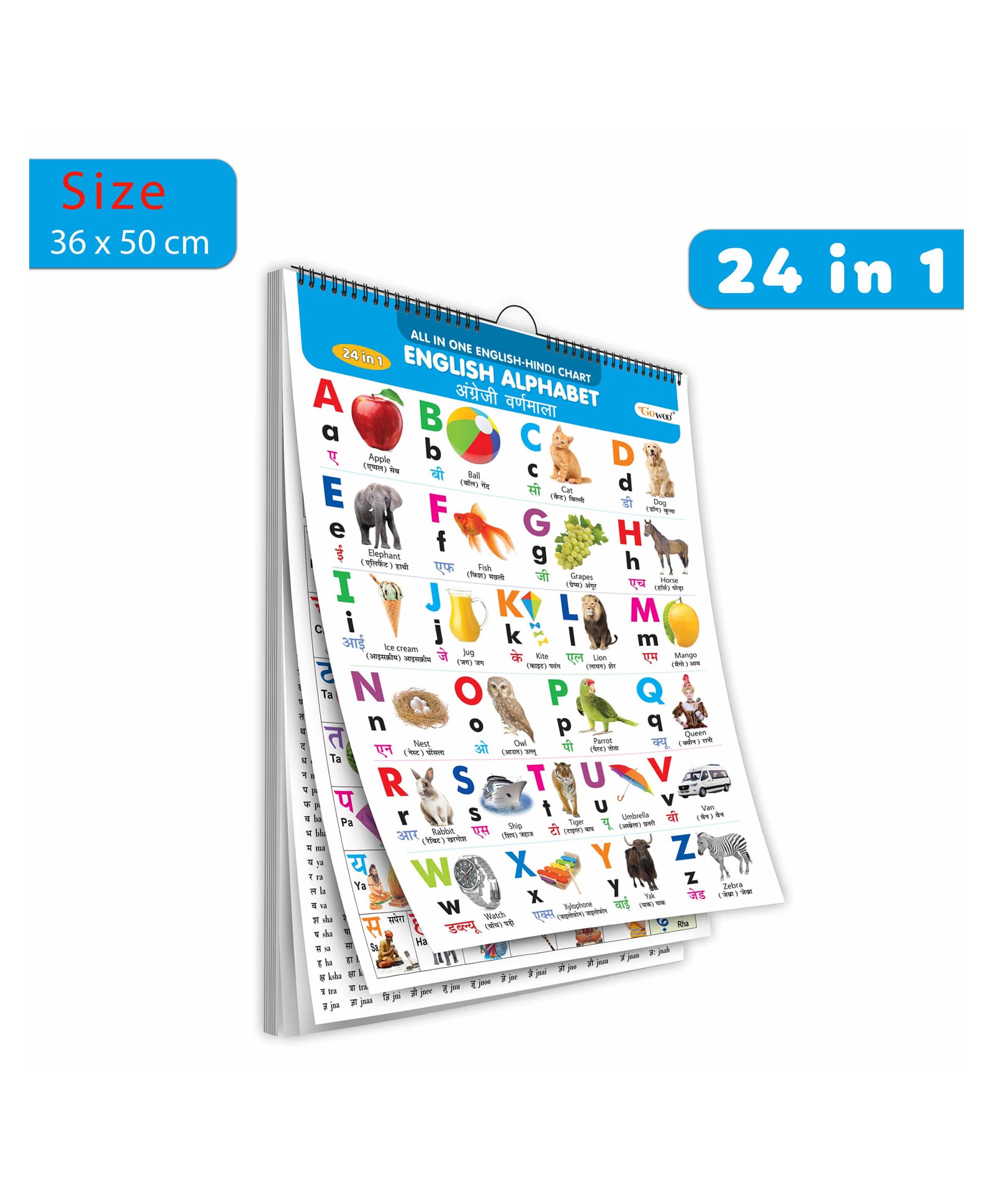 ENGLISH-HINDI Chart For Kids (24 Charts ) 36 x 50 cm - Children Spiral Wall Picture Chart-image-13