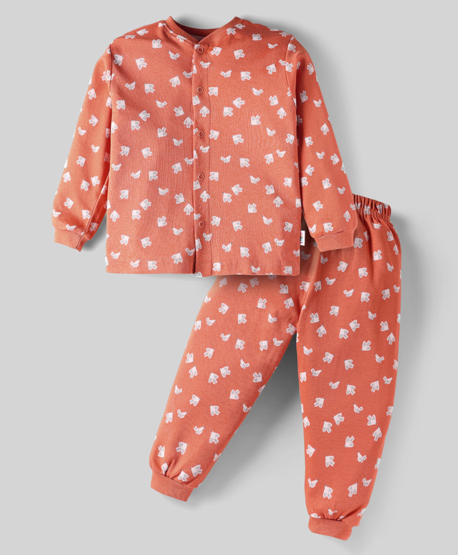 Teddy Interlock Knit Full Sleeves Front Open Co-Ord Night Suit with Birds Print - Brown-picture-46