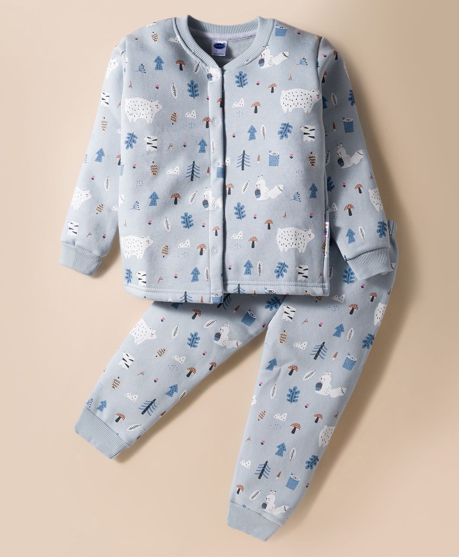 Teddy Fleece Knit Full Sleeves Winter Wear Co-ords Night Suit With Animal Print - Light Blue-picture-11