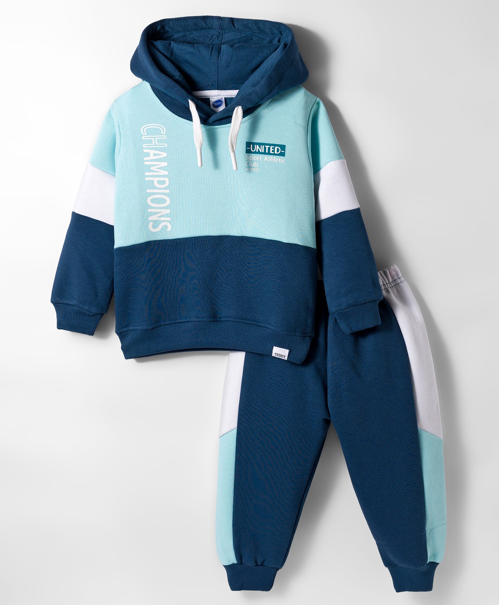 Teddy Fleece Knit Full Sleeves Winter Wear Hooded T-Shirt & Lounge Pant Set With Text Print - Light Blue-picture-19