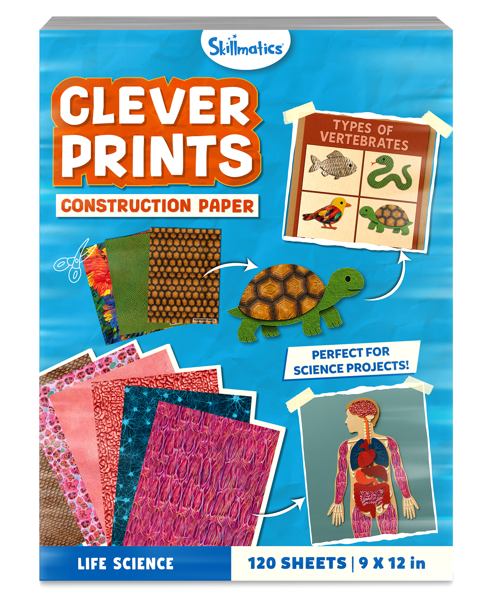 Skillmatics Life Science Construction Paper for Kids - 120 Double-Sided Printed Sheets (9x12), Textured Craft Paper for Art Projects, Science Activities, DIY Crafts, Scrapbooking, School Supplies-picture-18