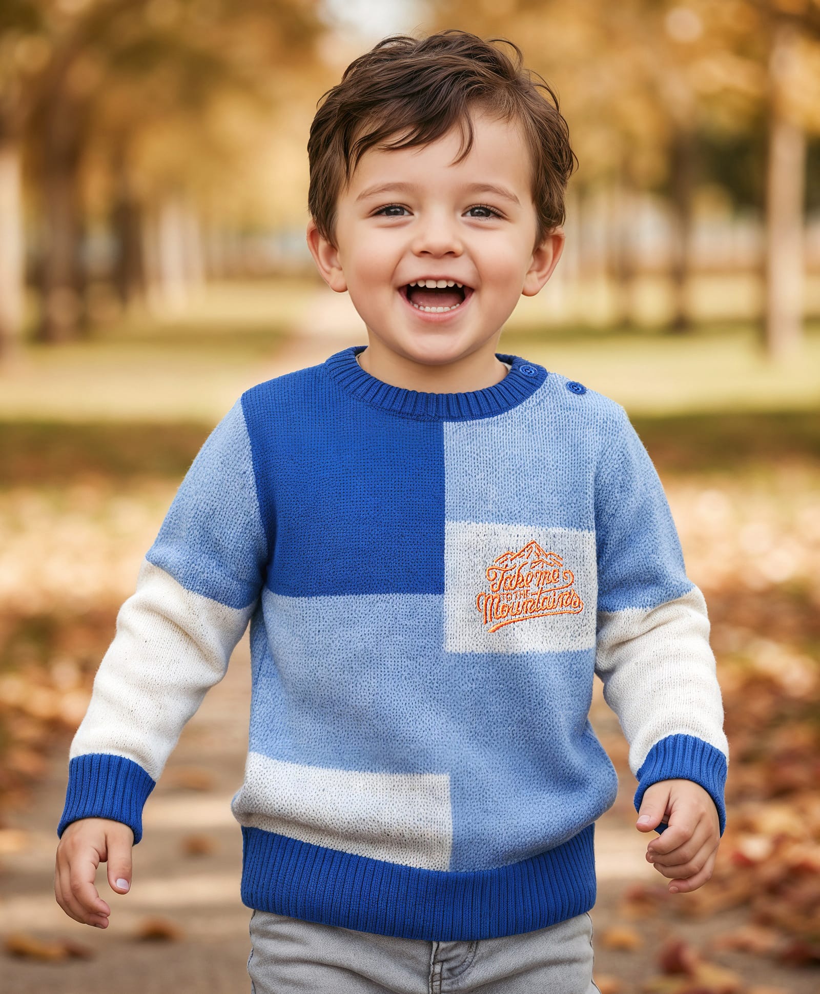 Babyhug Knit Full Sleeves Pullover Sweater with Color Block & Text Embroidery - Blue-image-48