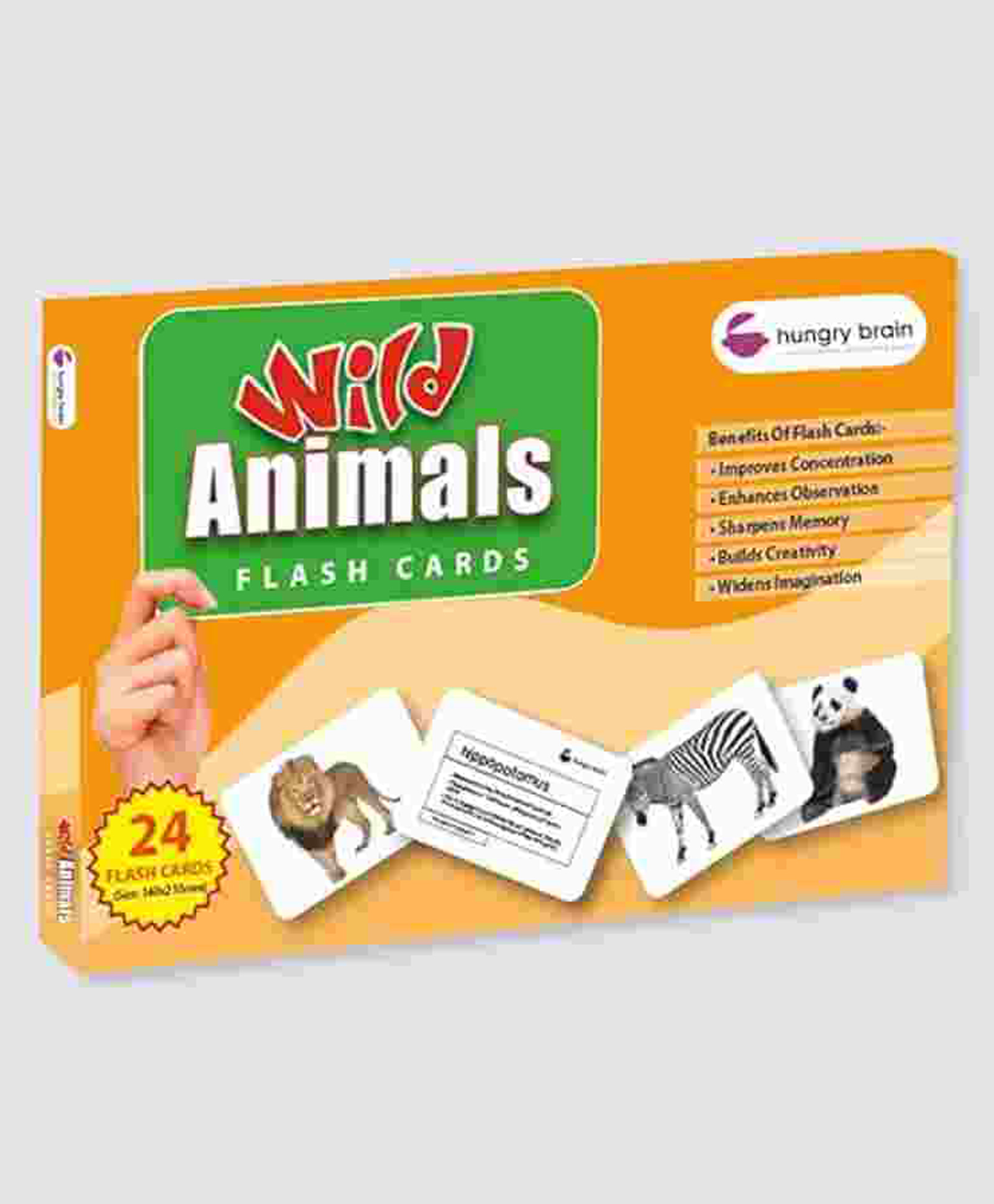 Hungry Brain Wild Animals 24 Flash Cards - Multicolor-image-47