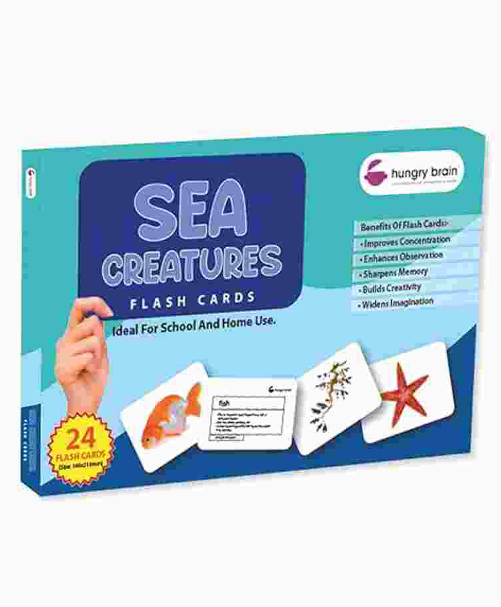 Hungry Brain Sea Creatures 24 Flash Cards - Multicolor-image-28