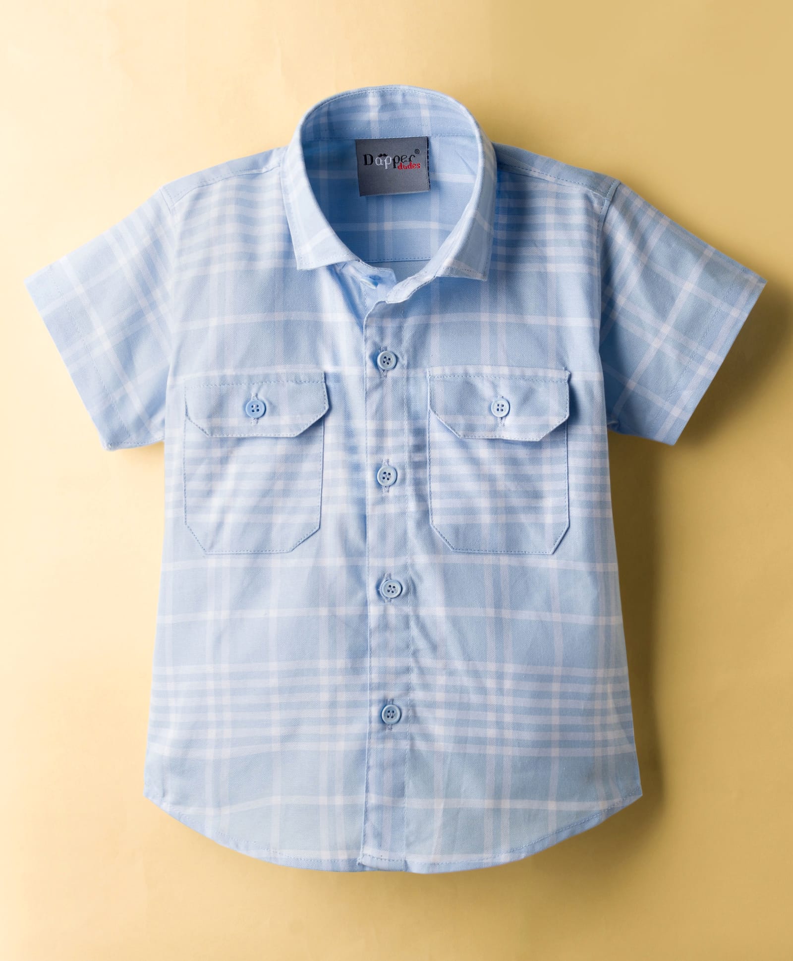 Dapper Dudes Half Sleeves Checked Shirt - Sky Blue-image-19