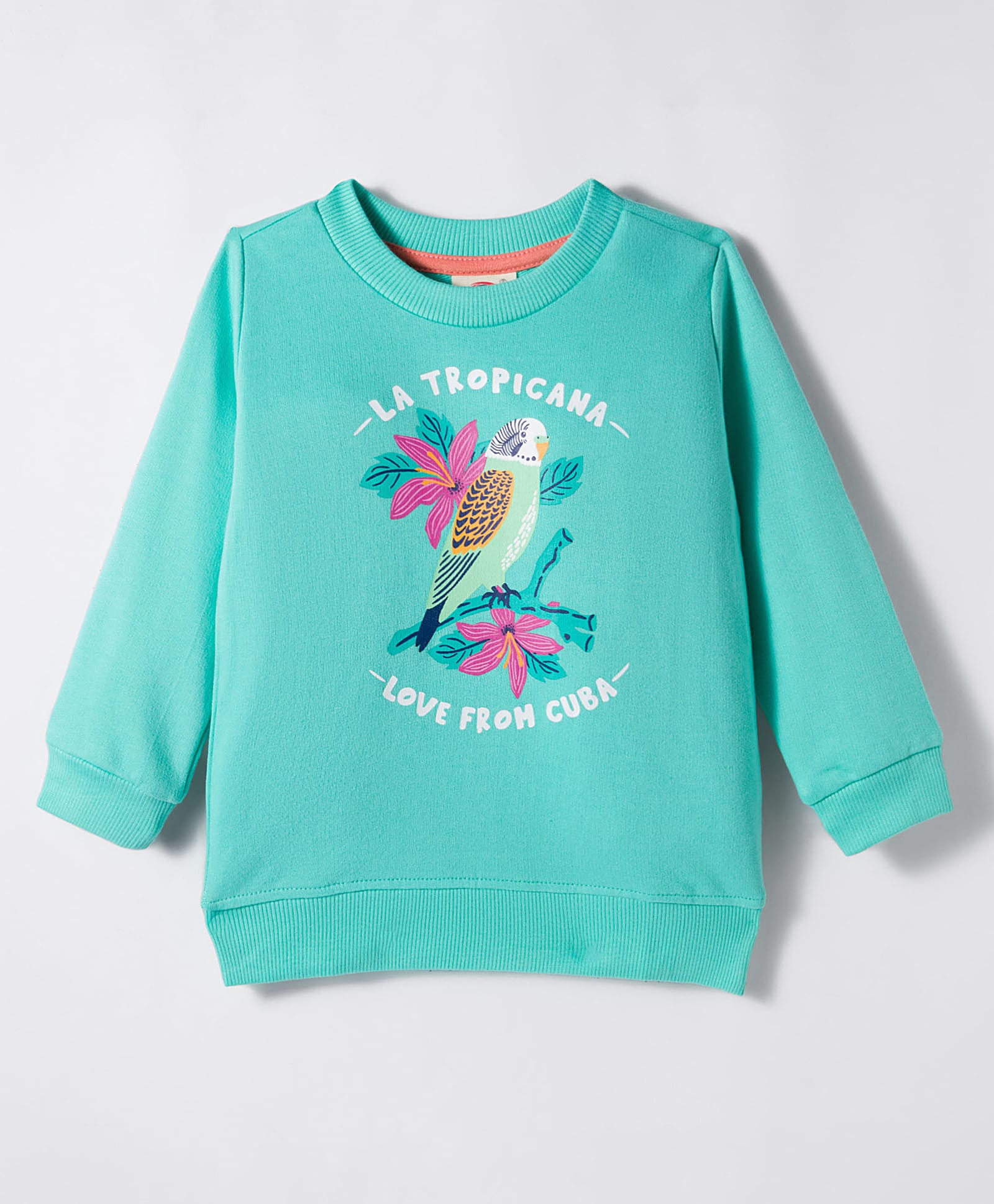 Zero Looper Knit Full Sleeves Sweatshirt with La Tropicana Love From Cuba Parrot Print - Sea Green-image-39