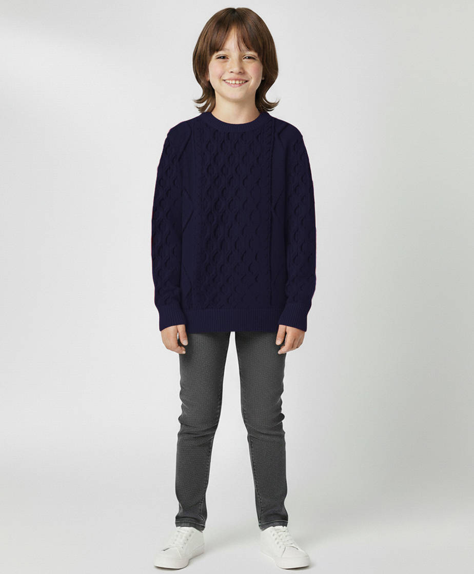 Kanvin Cotton Knit Full Sleeves Pullover Sweater with Cable Knit Design - Navy Blue-image-31