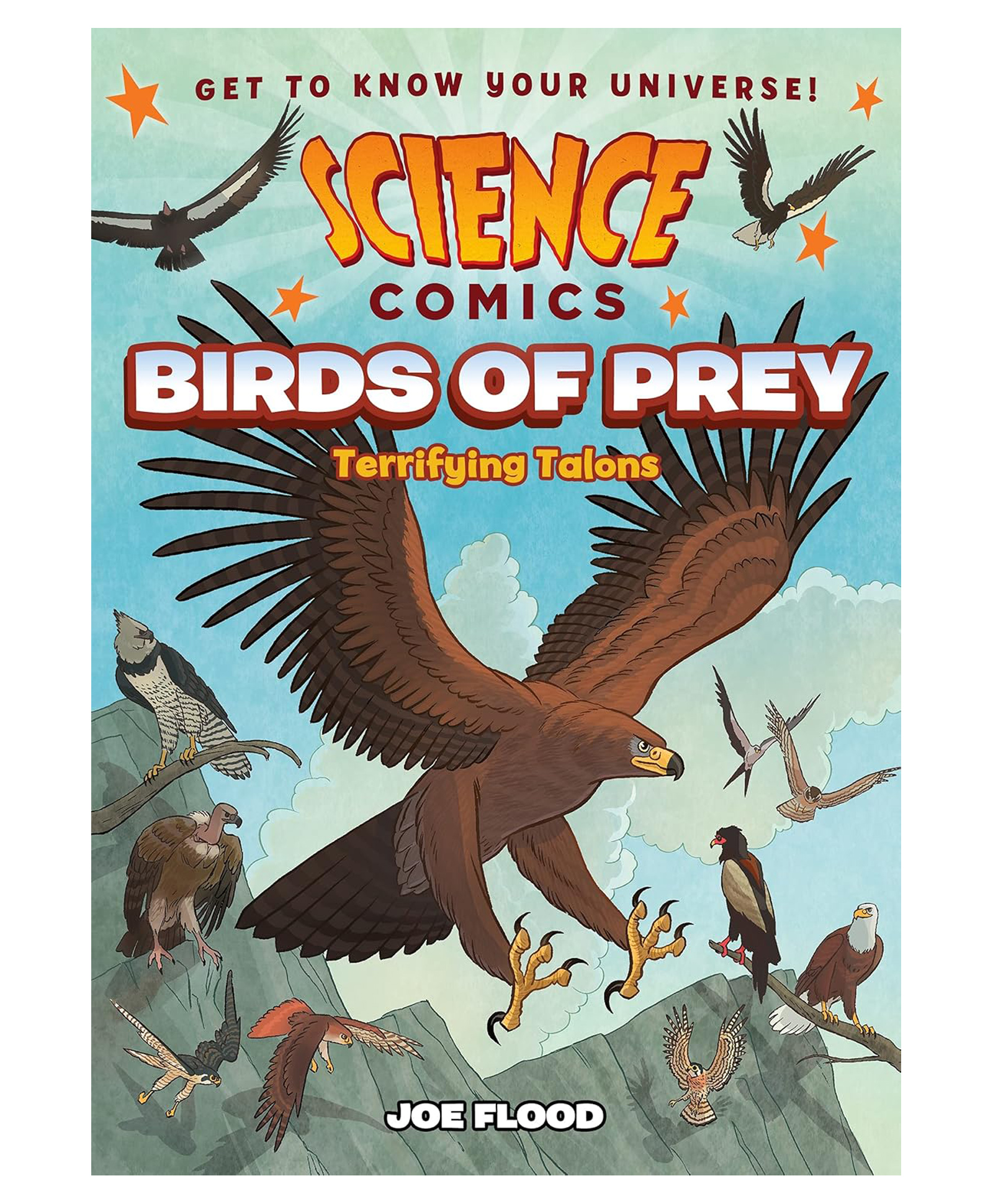 Science Comics: Birds of Prey By Joe Flood - English-image-4