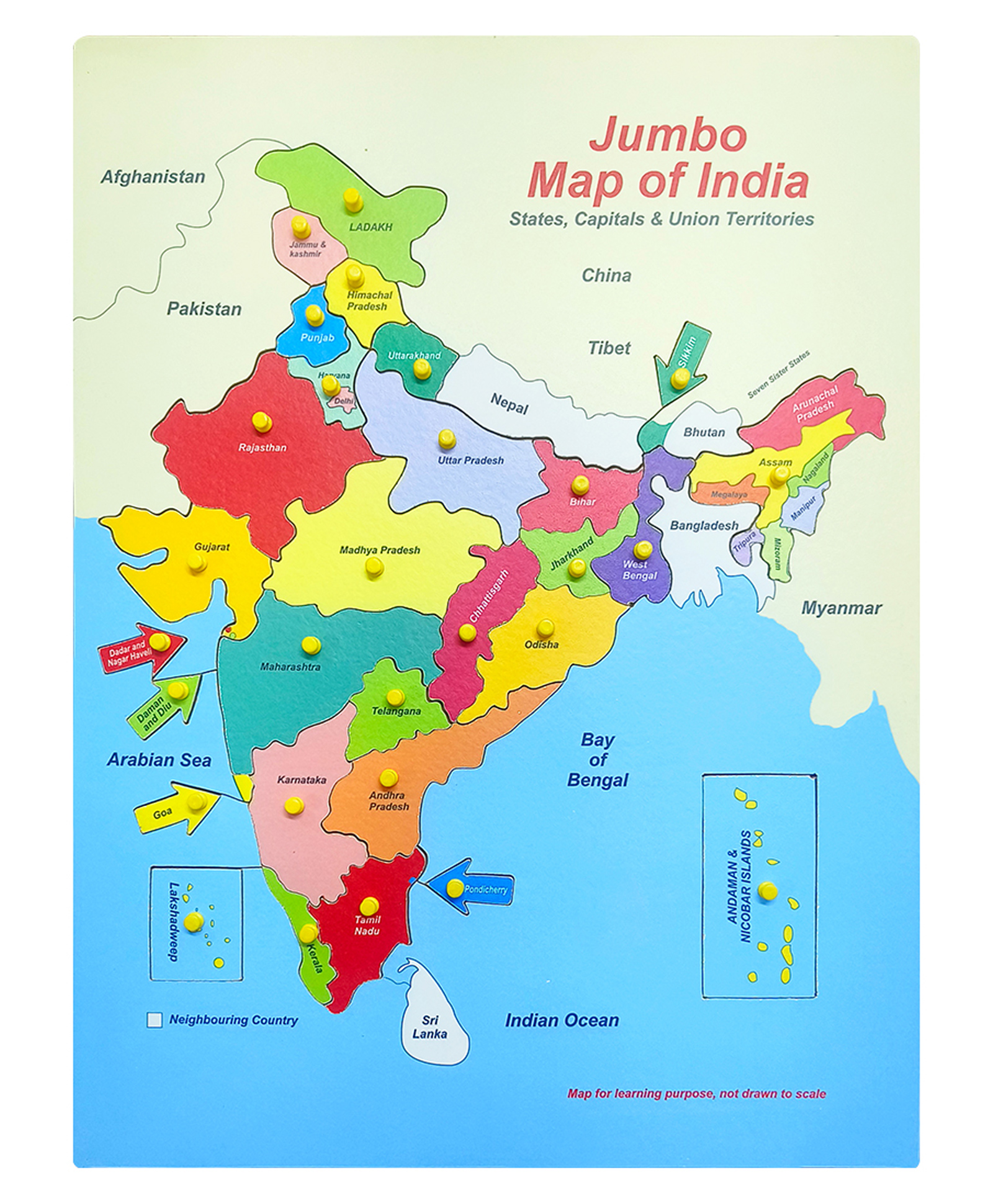Hop N Play Jumbo Wooden Map of India Identification Puzzle with Knob- Multicolour-image-27