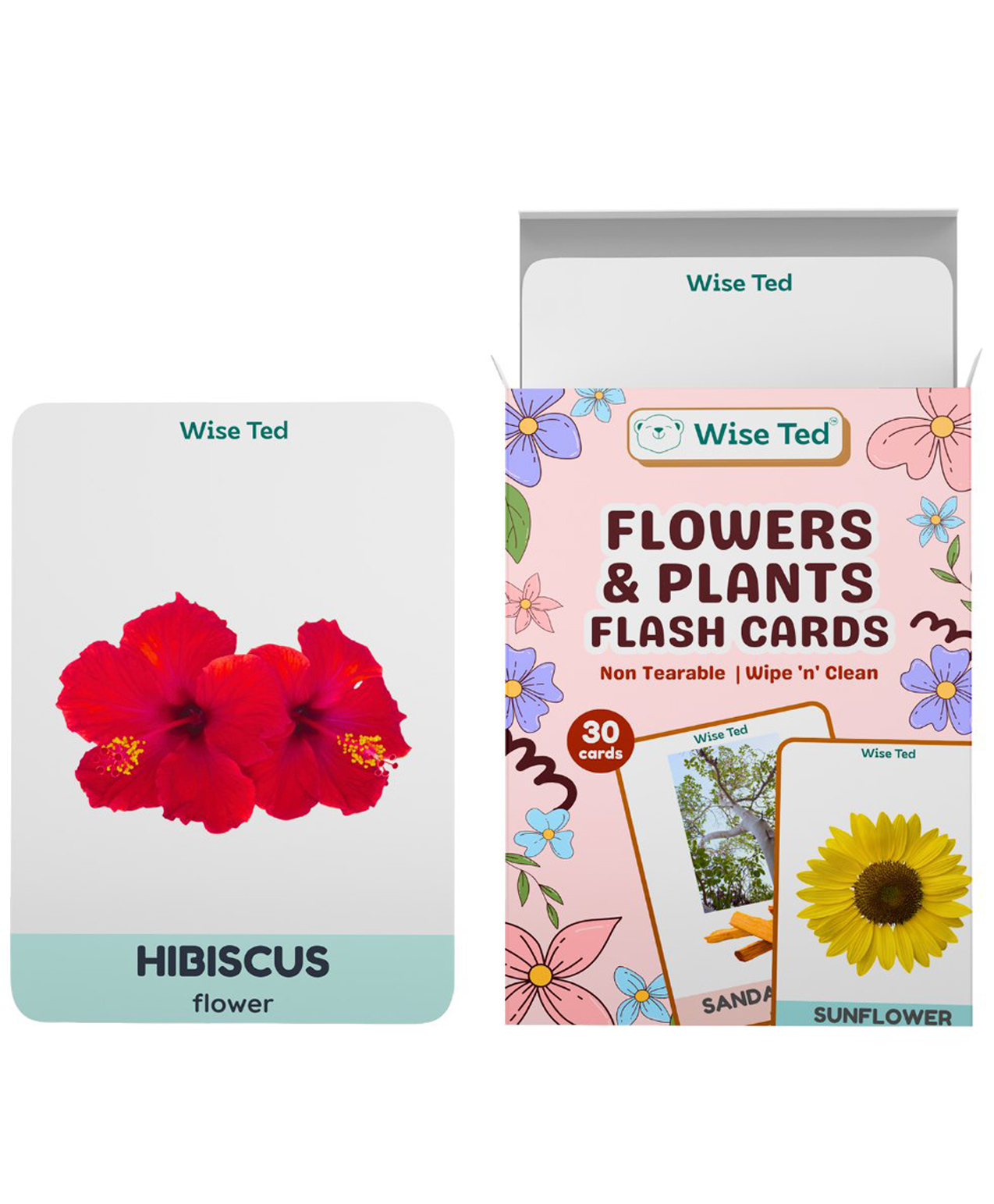 WiseTed Flowers & Plants Flash cards - 30 cards-picture-14