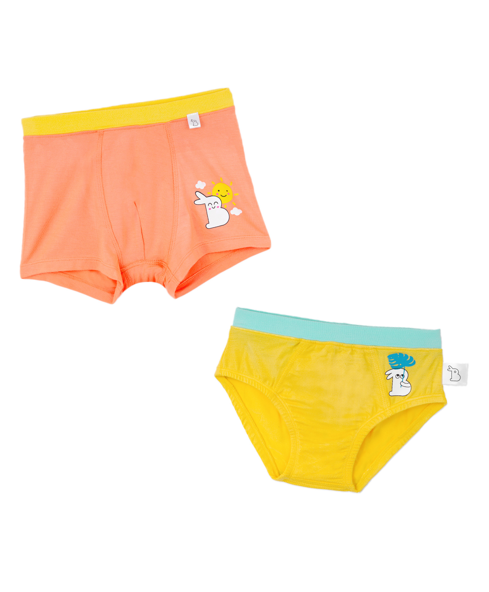 SuperBottoms Bamboo Knit Bunnies Printed Supersoft Brief & Trunk Set - Multi Colour-image-43