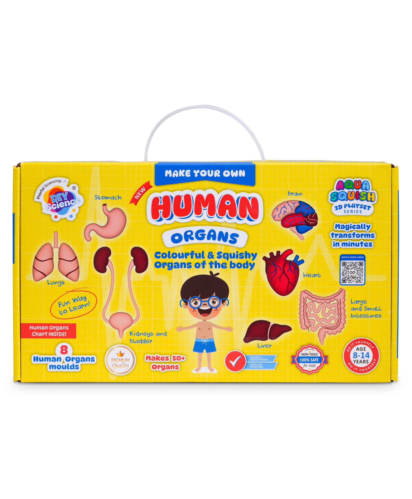 diy science EC Human Organs Aqua Squish Kit - Multicolour-picture-26