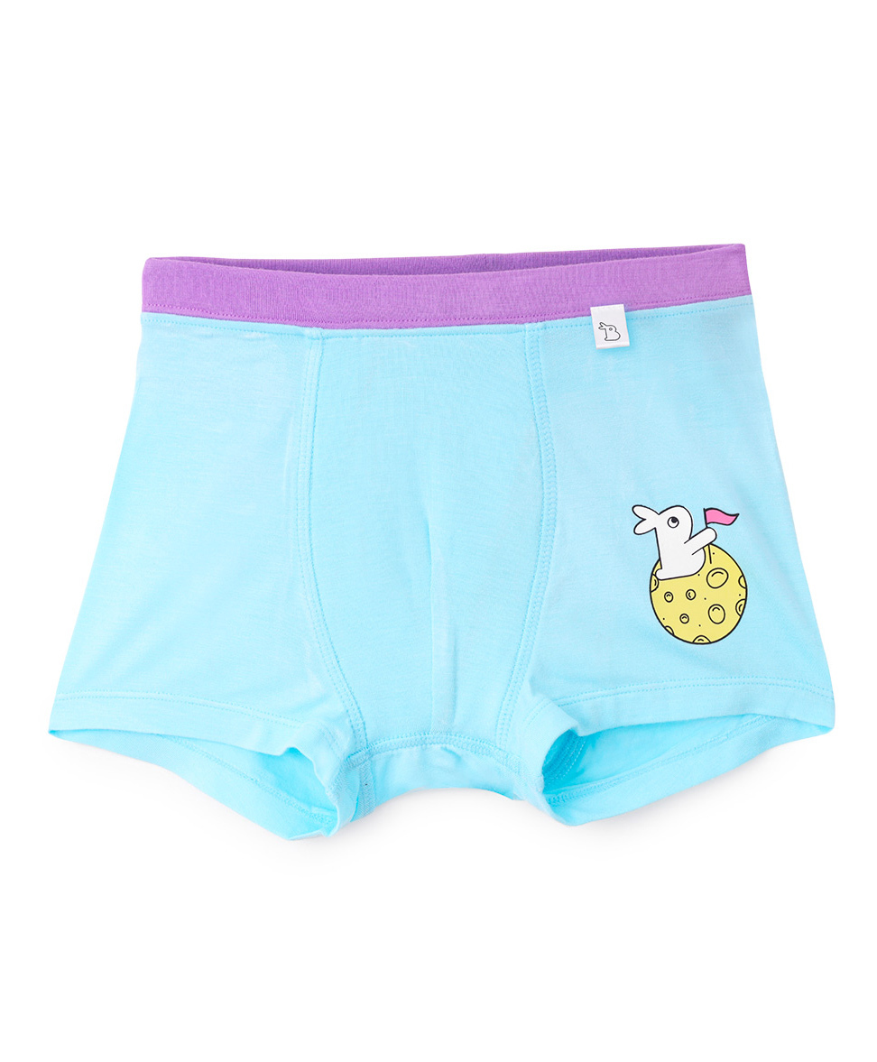 SuperBottoms Bamboo Knit Bunny Printed Boxers - Blue-image-3