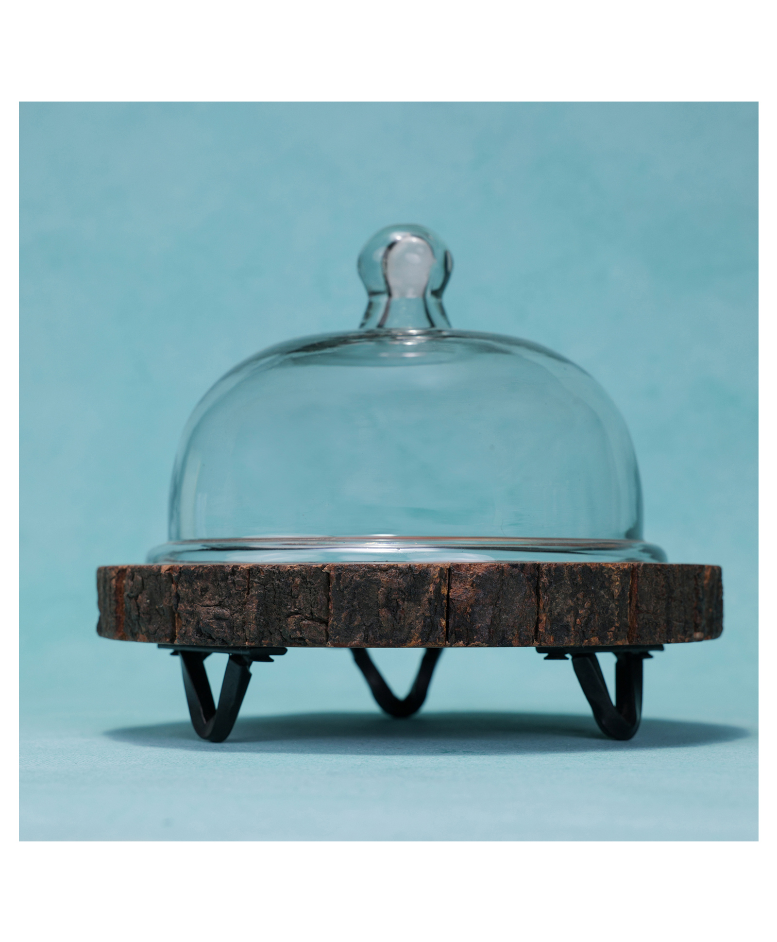 Ireka Homes Vriksha Acacia Wood Cake Stand with Glass Dome-picture-18
